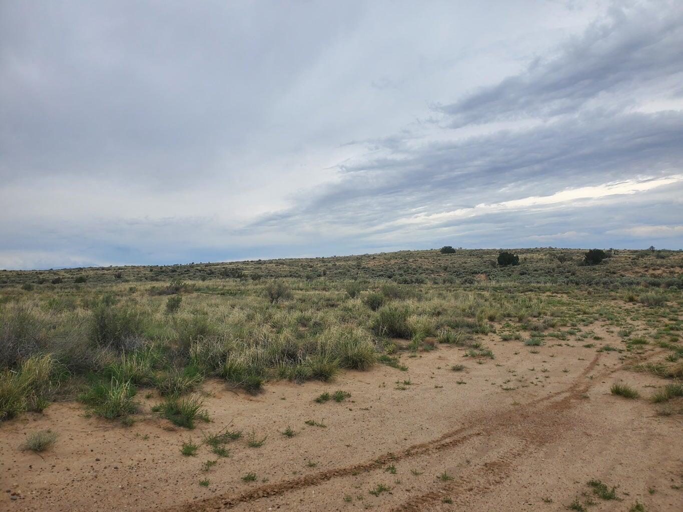 Capistrano, Rio Rancho, New Mexico image 6