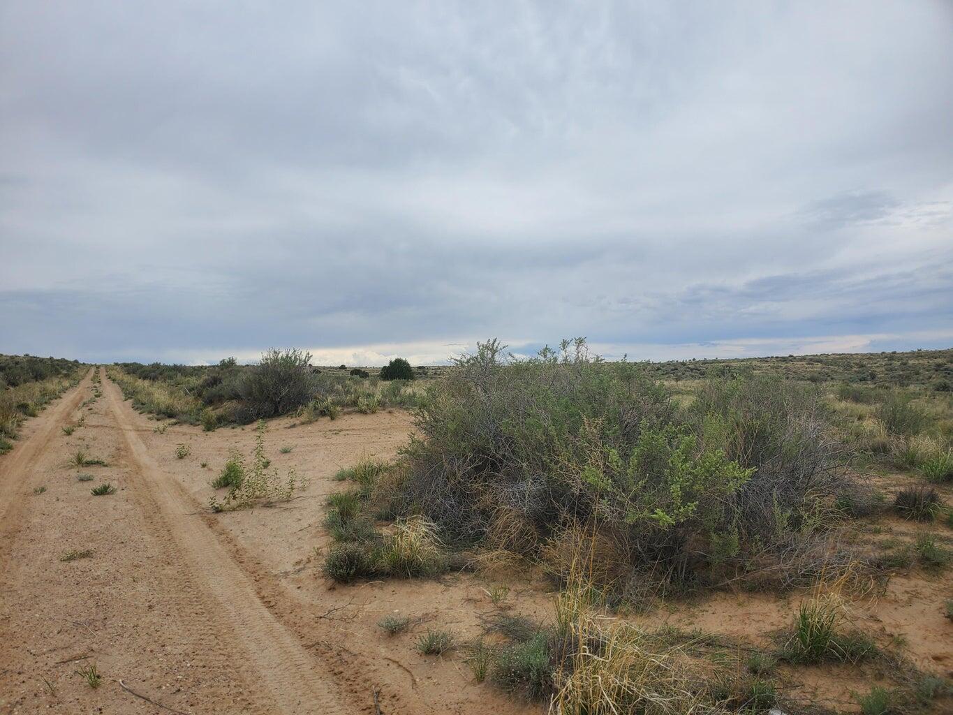 Capistrano, Rio Rancho, New Mexico image 4