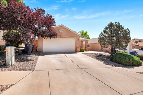 Homes For Sale - 10764 Galaxia Park Drive<br/> Bernalillo County, Albuquerque, NM 87114