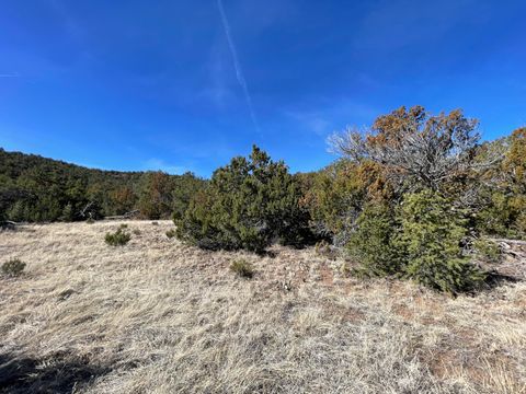 Vacant Land For Sale - 41 Canon Escondido Place<br/> Sandia Park, NM 87047