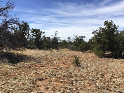 Vacant Land For Sale - LOT 641-A Gabe Road<br/> Ramah, NM 87321