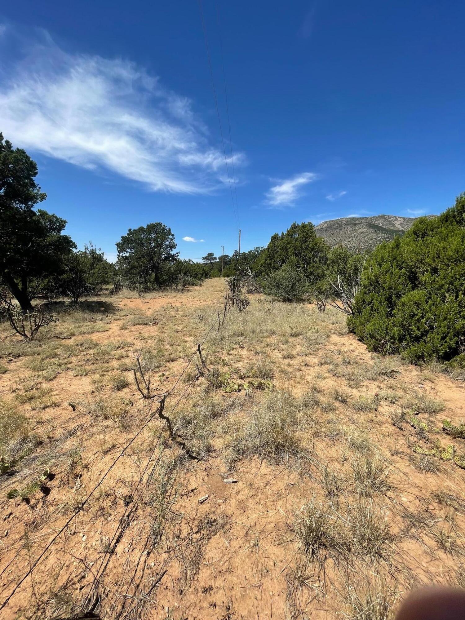 14 Tierra Encantada Road, Edgewood, New Mexico image 15