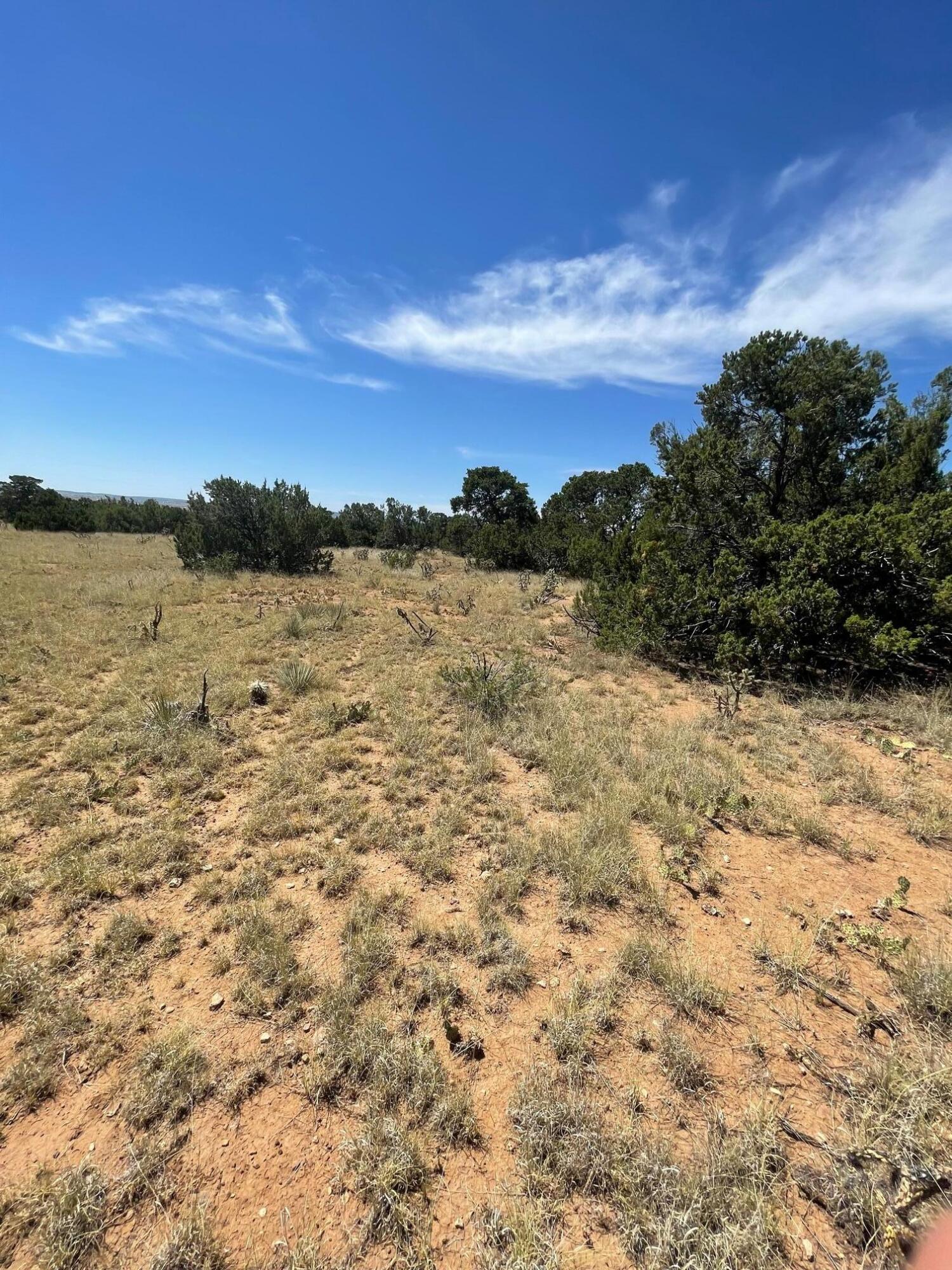 14 Tierra Encantada Road, Edgewood, New Mexico image 9