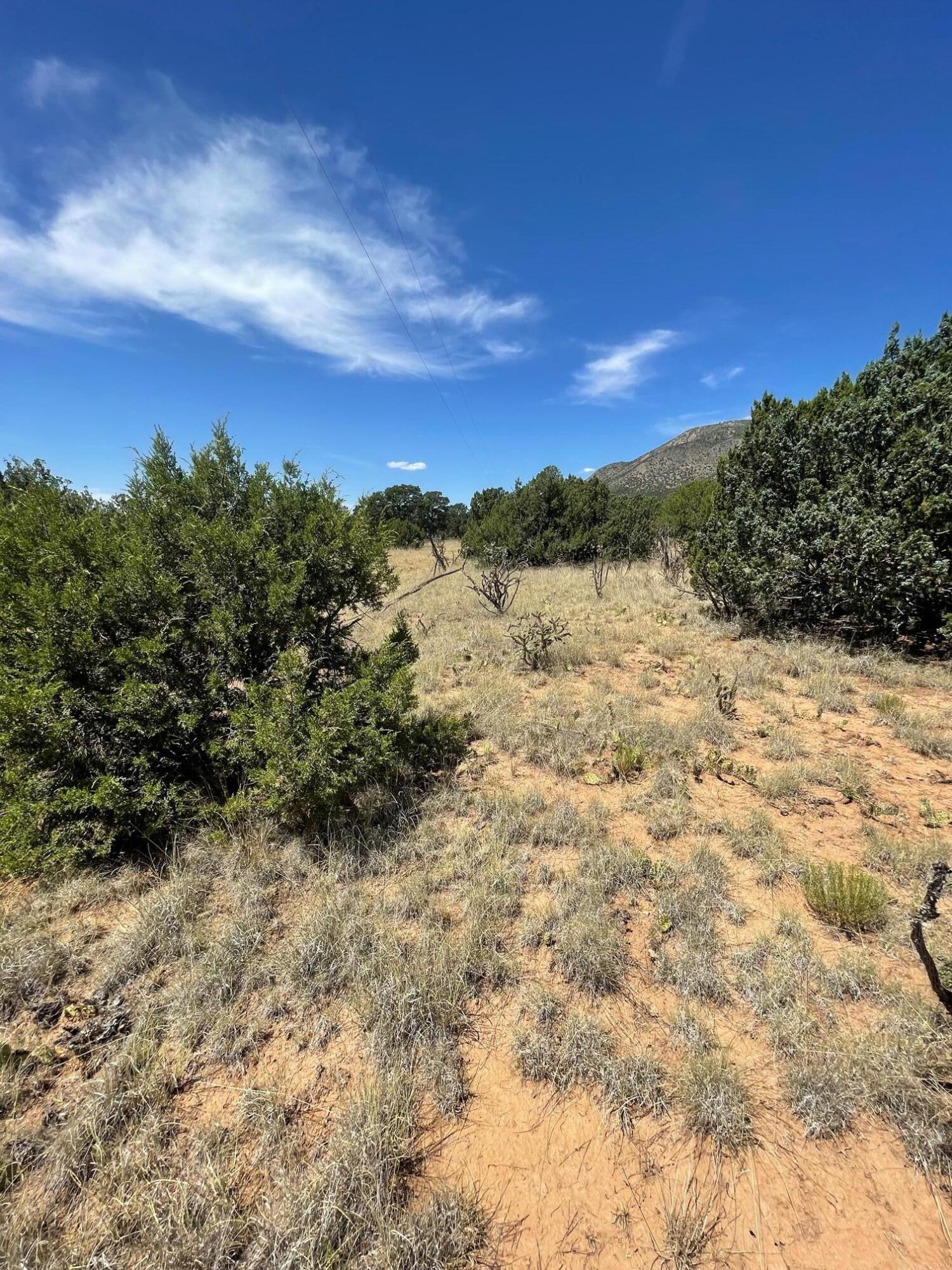 14 Tierra Encantada Road, Edgewood, New Mexico image 6