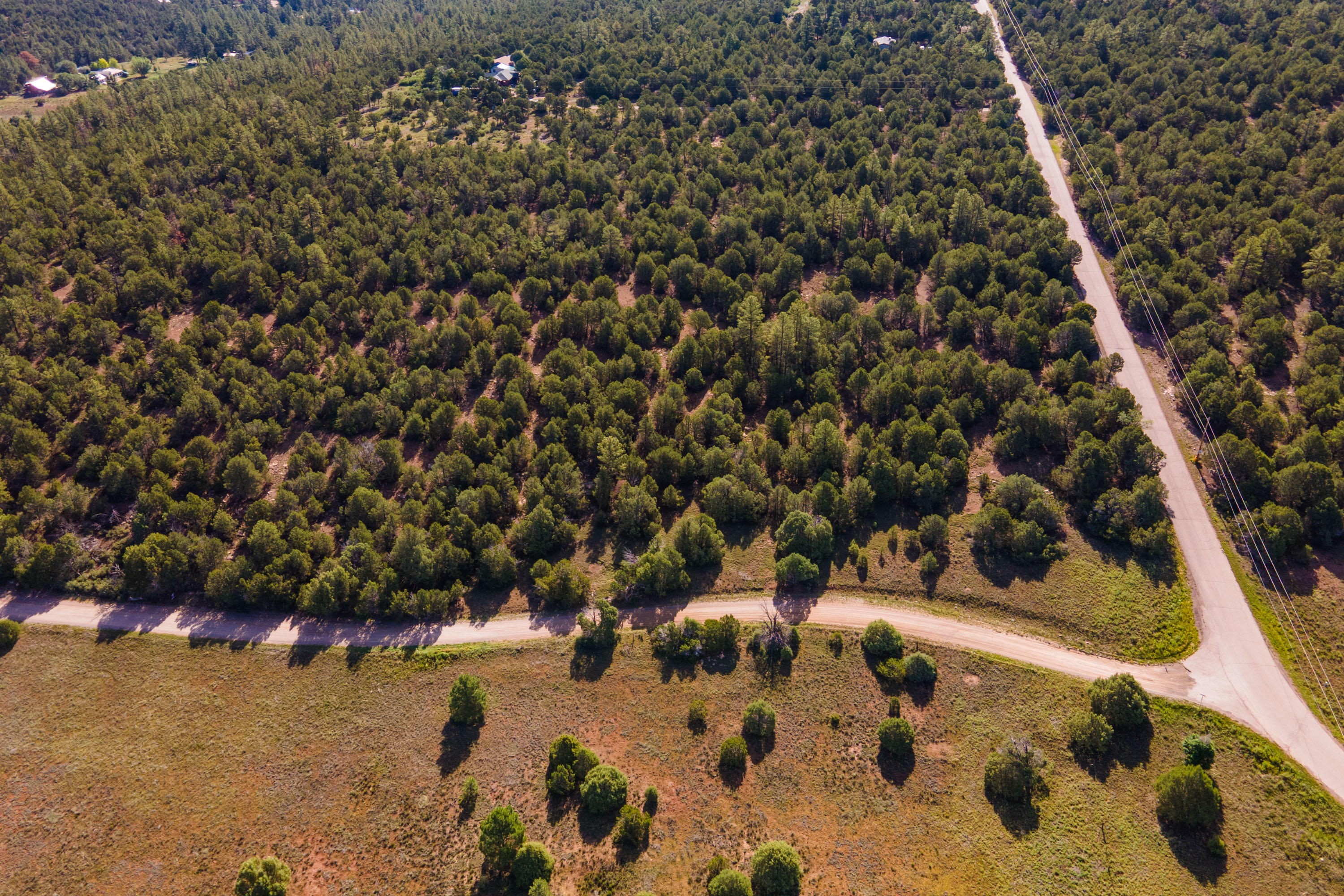 10 Young Road, Tijeras, New Mexico image 3