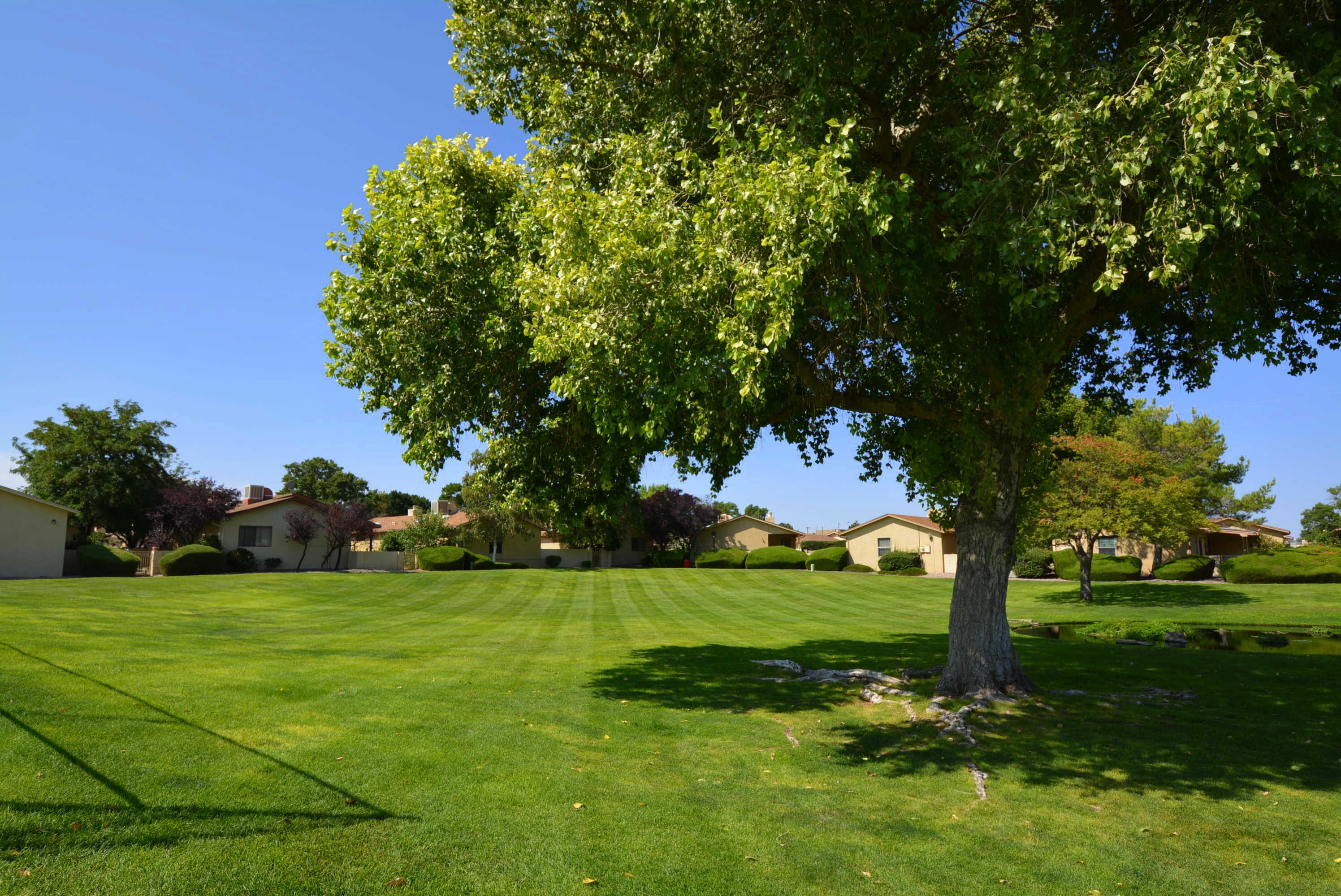 10801 Griffith Park Drive, Albuquerque, New Mexico image 25