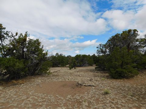 Vacant Land For Sale - 174 Agua Fria Loop<br/> Catron County, Quemado, NM 87829