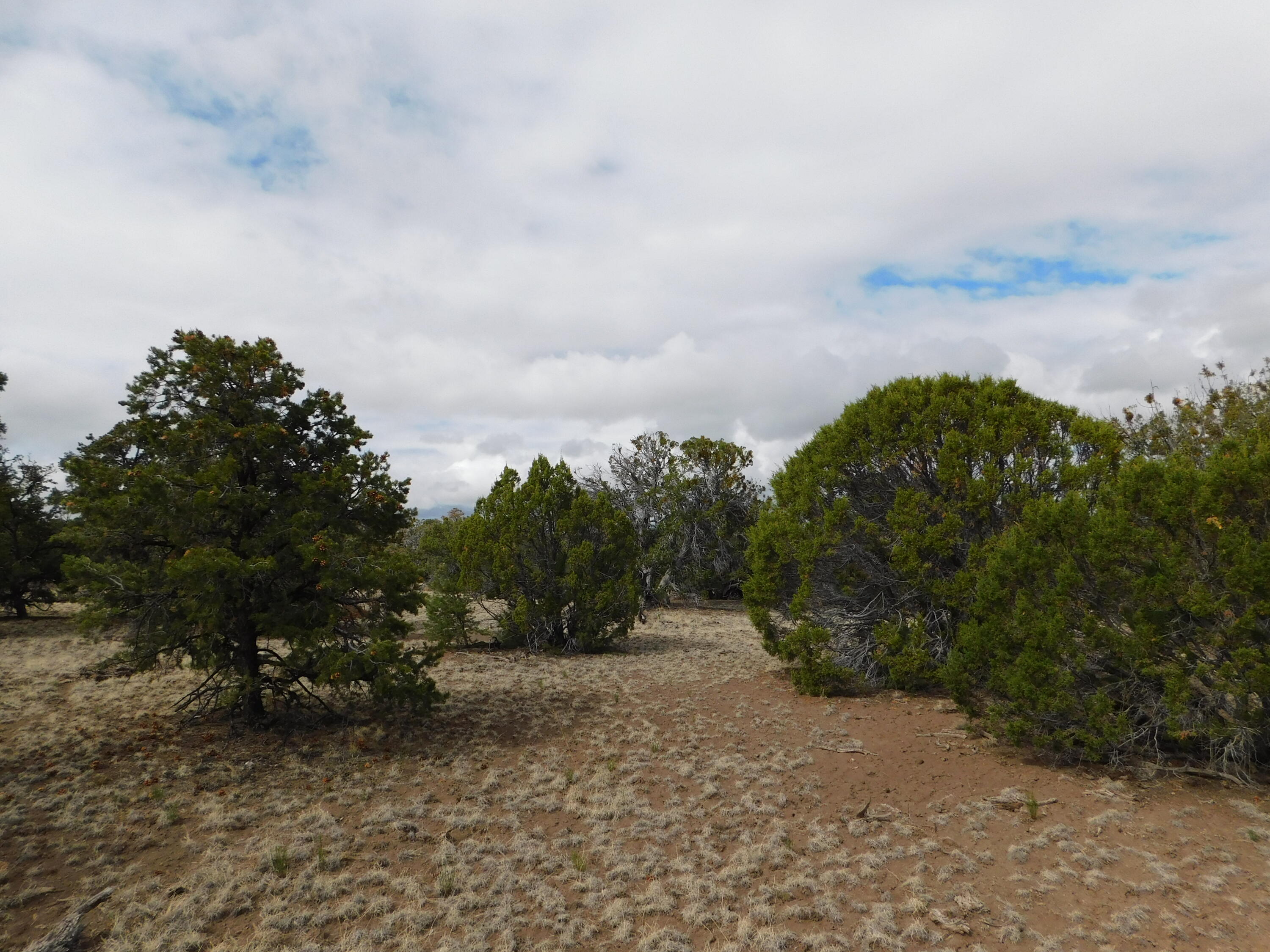 Lot 138 Agua Fria Loop, Quemado, New Mexico image 8