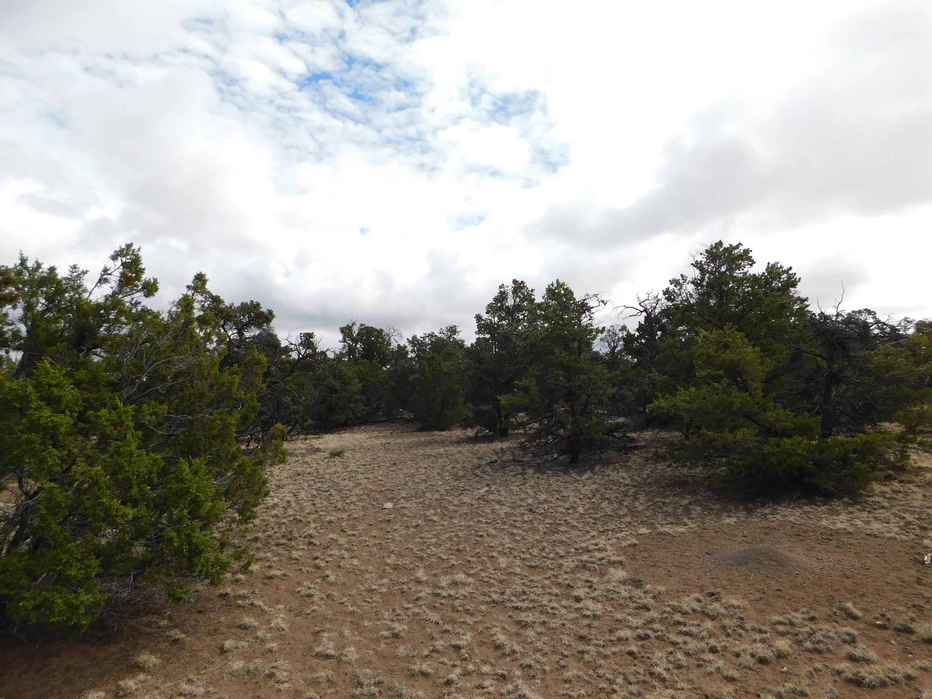 Lot 138 Agua Fria Loop, Quemado, New Mexico image 10