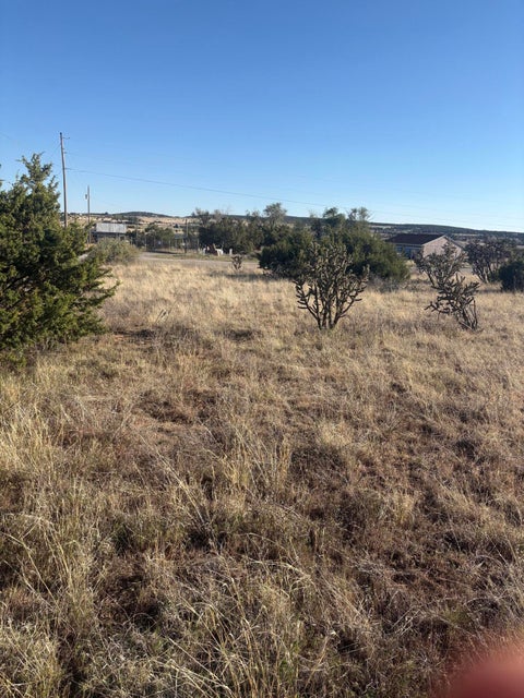 Vacant Land For Sale - 1 Juniper Drive<br/> Sandia Park, NM 87047