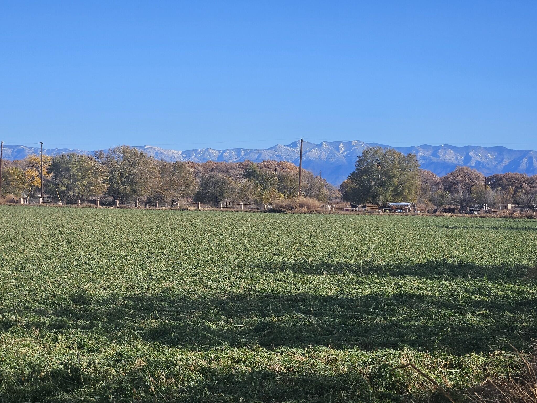 16 Vicente Road, Belen, New Mexico image 1