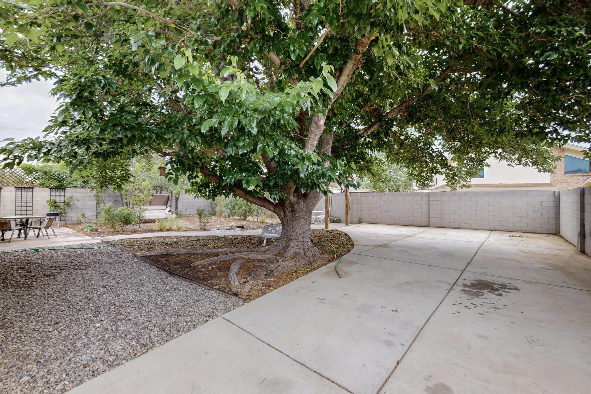 6322 Lamy Street, Albuquerque, New Mexico image 37