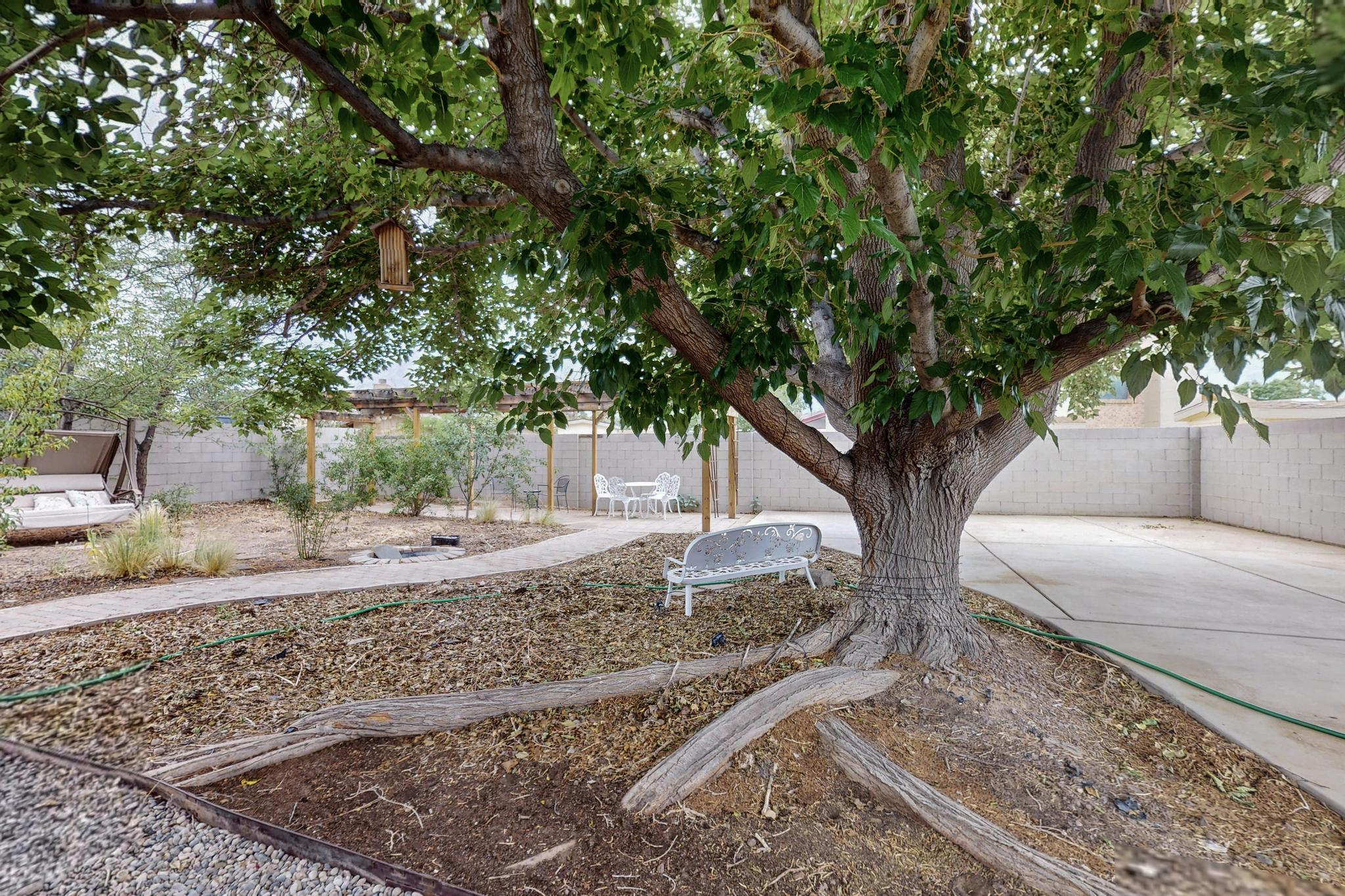 6322 Lamy Street, Albuquerque, New Mexico image 36