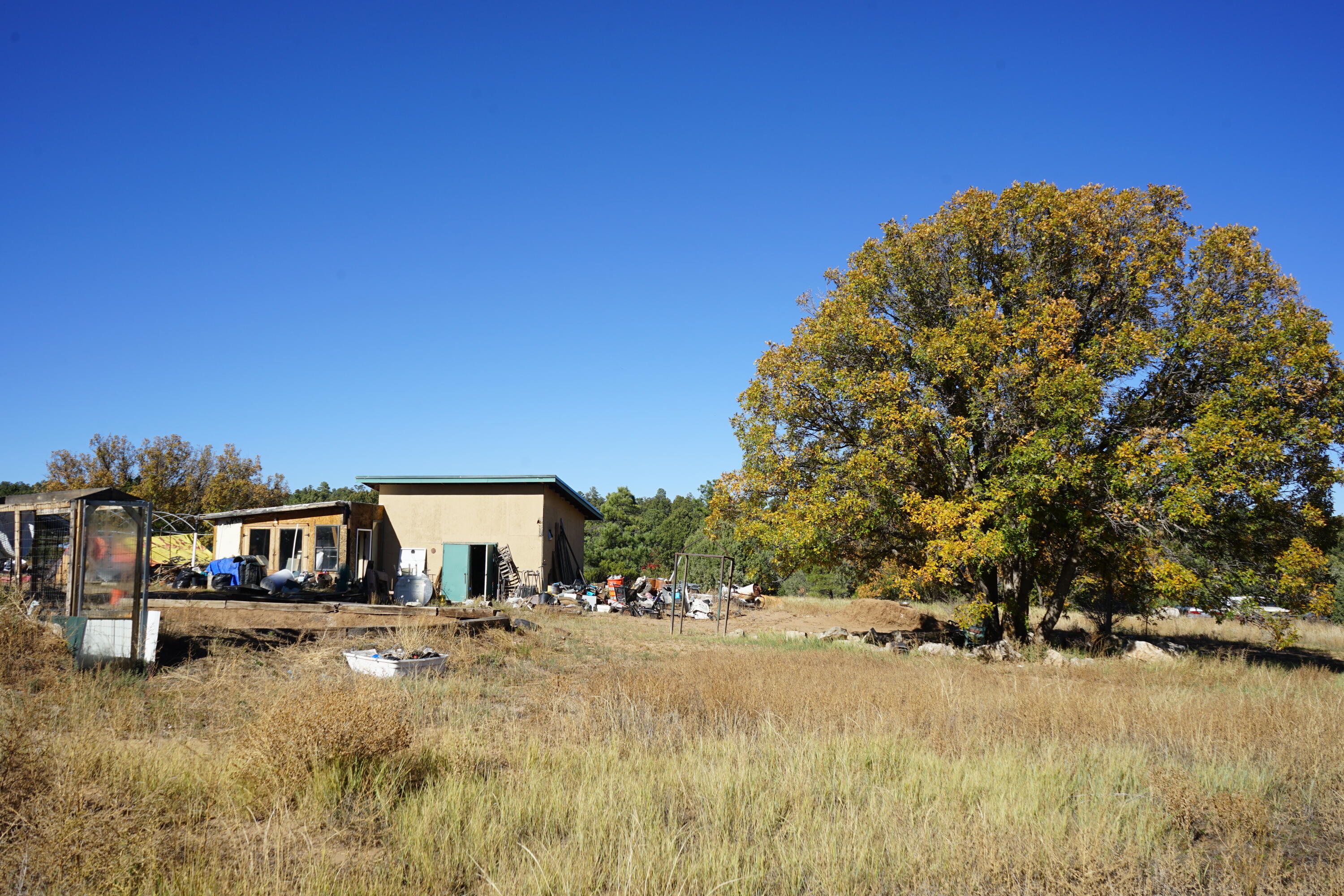 206 Anaya Road, Tijeras, New Mexico image 4