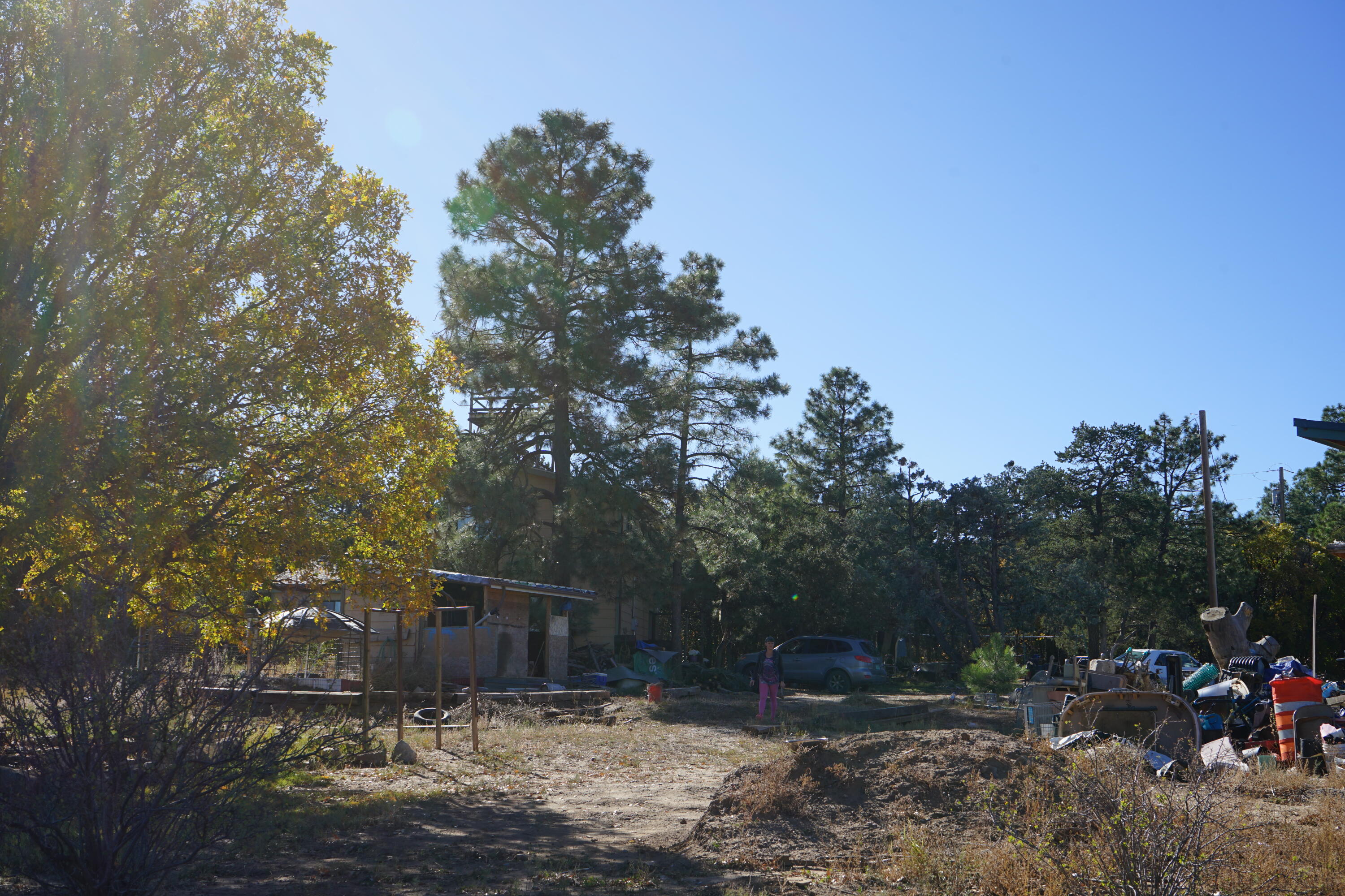 206 Anaya Road, Tijeras, New Mexico image 12