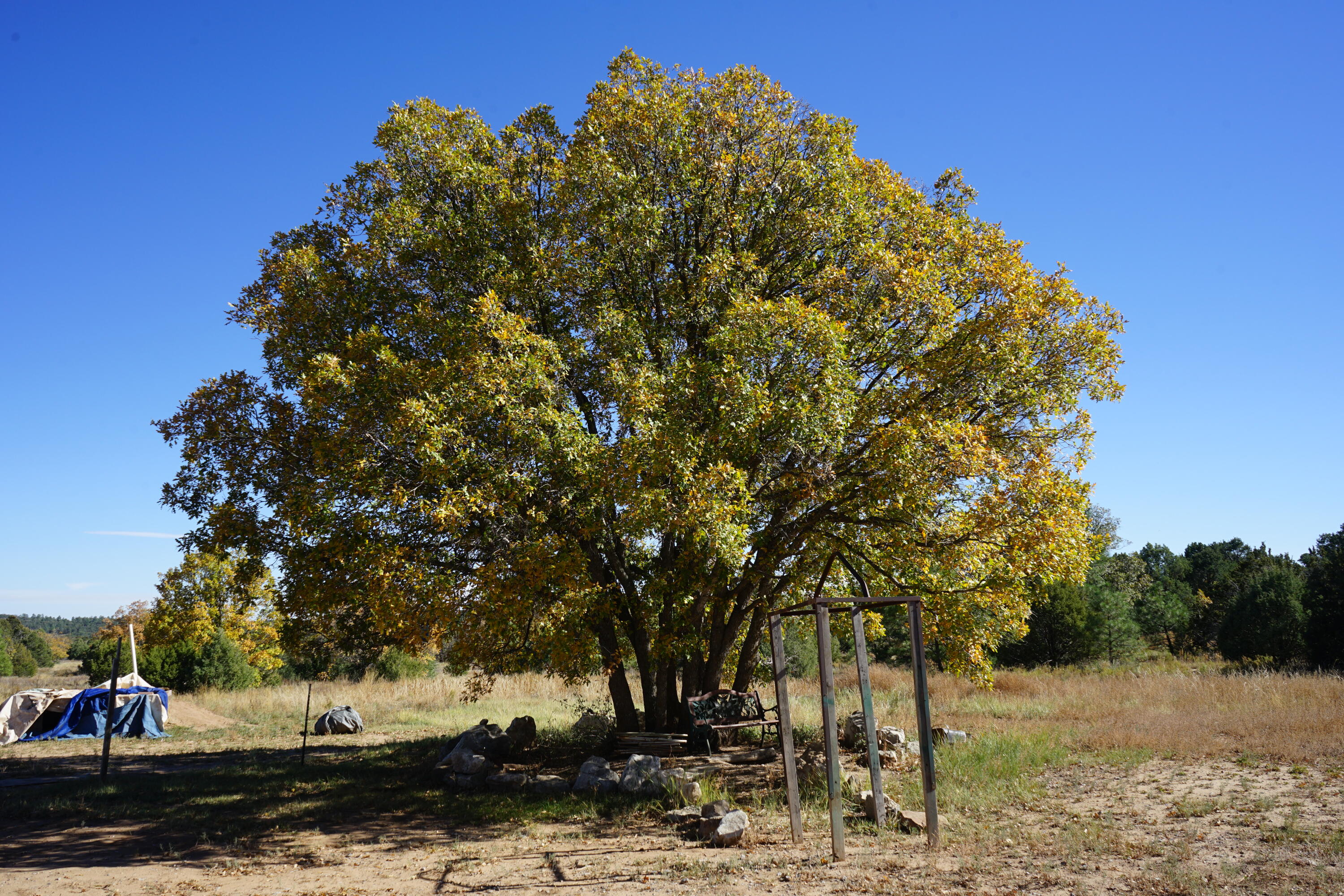 206 Anaya Road, Tijeras, New Mexico image 15