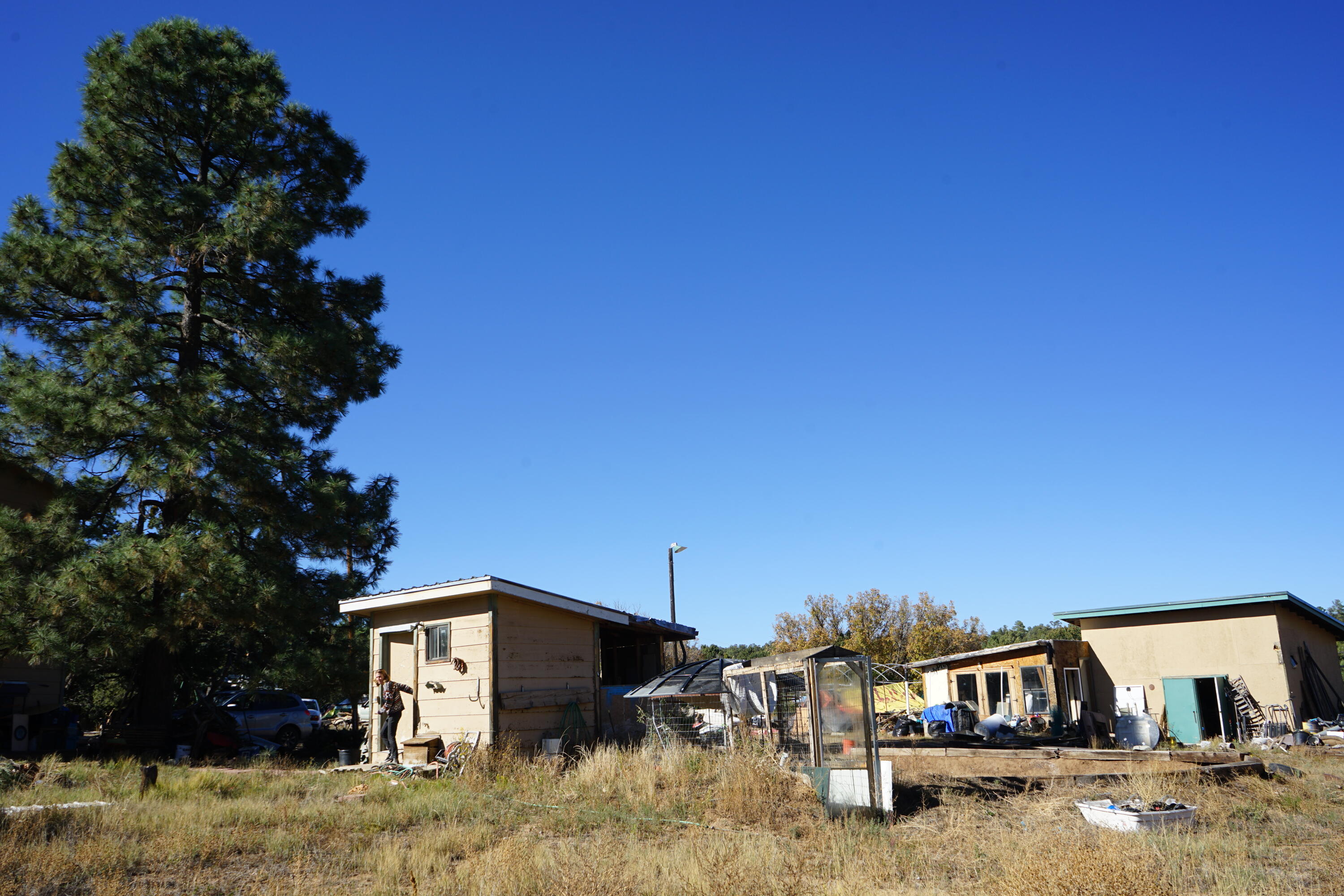 206 Anaya Road, Tijeras, New Mexico image 3