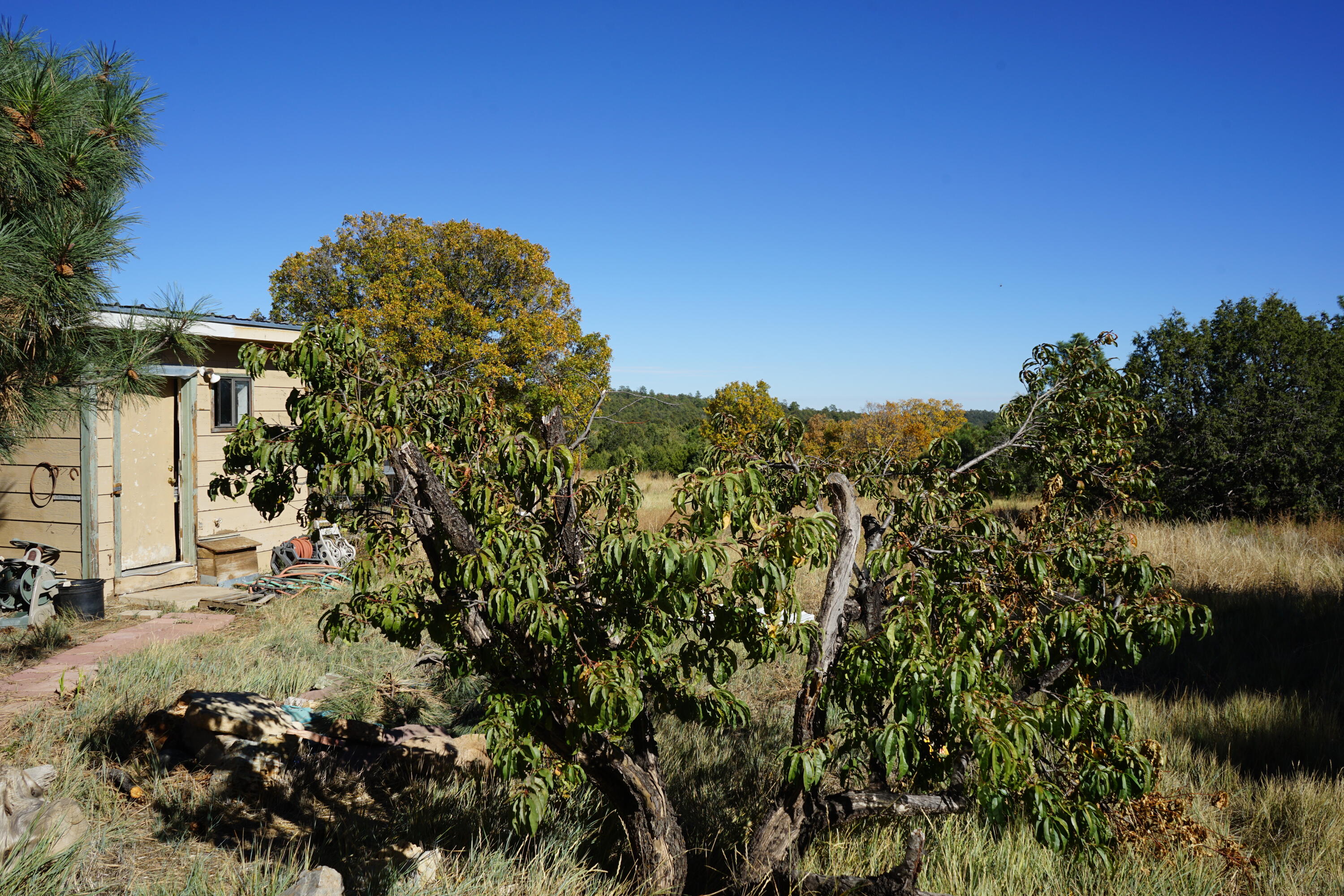 206 Anaya Road, Tijeras, New Mexico image 17