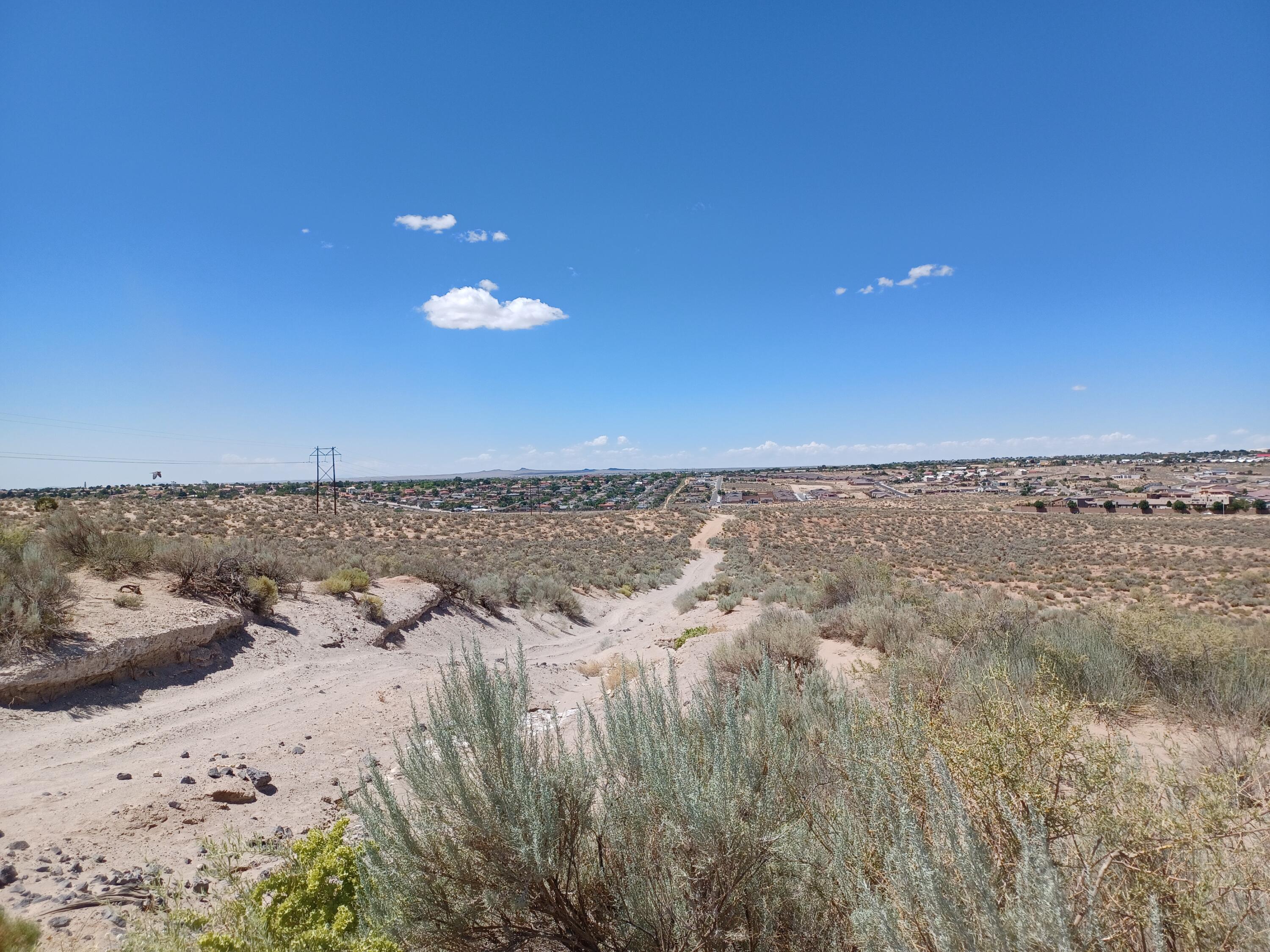 Stapleton Avenue, Rio Rancho, New Mexico image 5