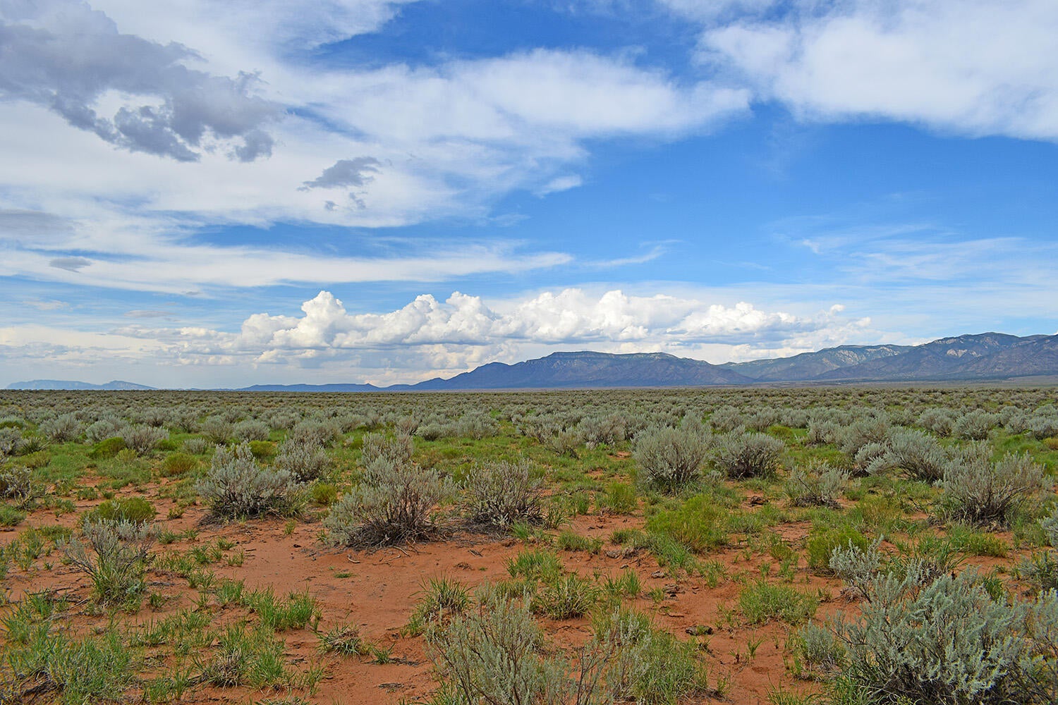 Lot 14 Rio Grande Estates 26