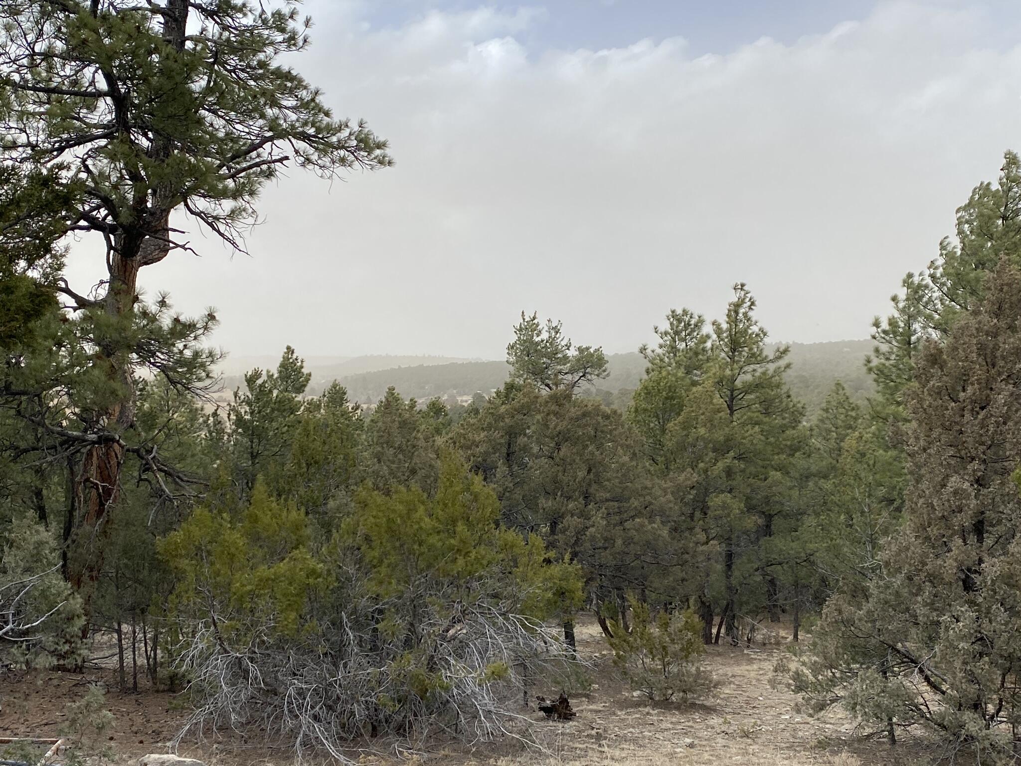 156 Holli Loop, Edgewood, New Mexico image 1