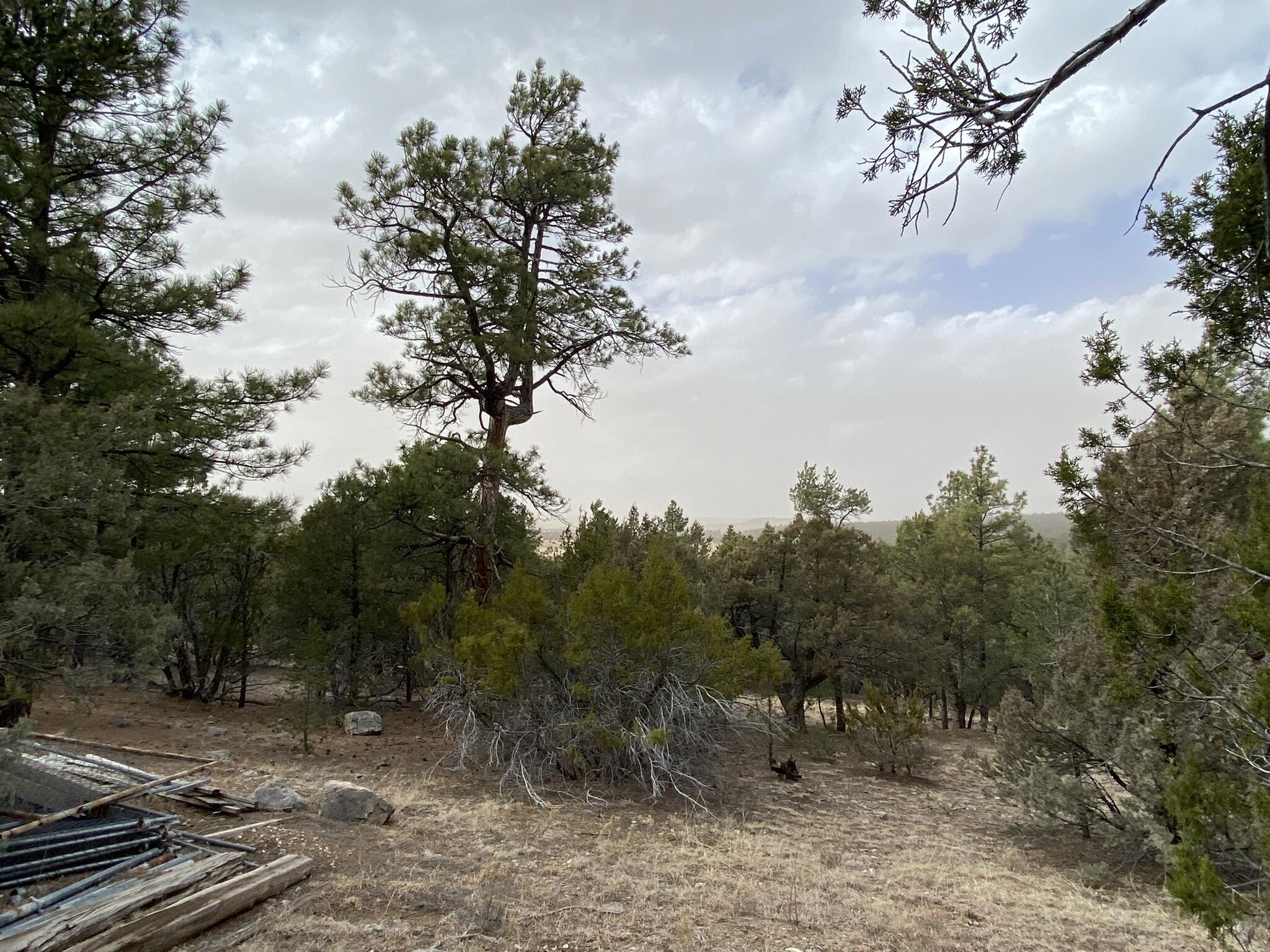 156 Holli Loop, Edgewood, New Mexico image 4