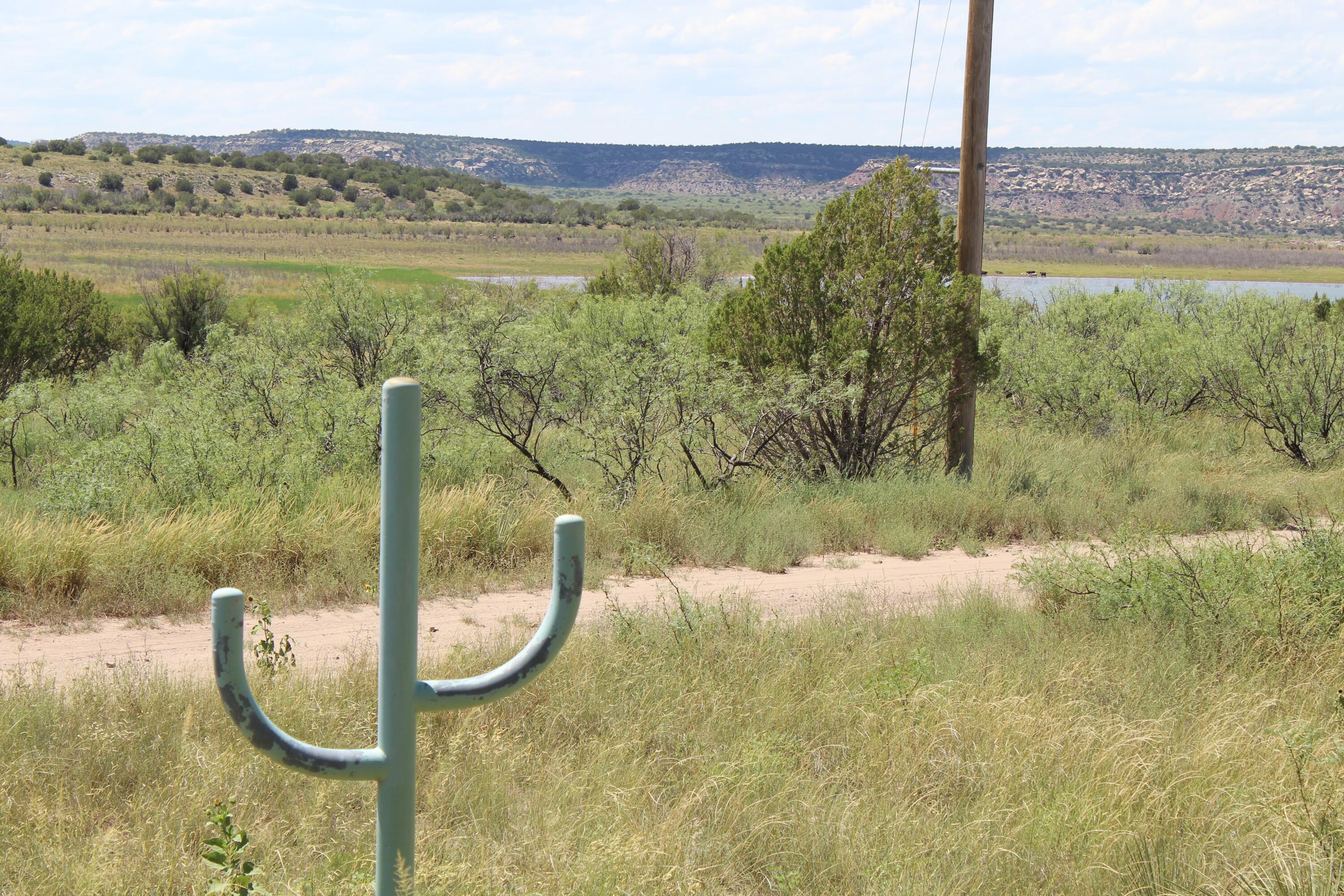 429 Harbor Court, Conchas Dam, New Mexico image 6