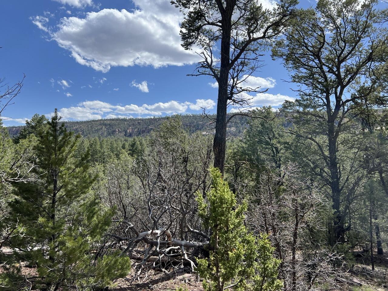 3 Bluebird Road, Ramah, New Mexico image 36