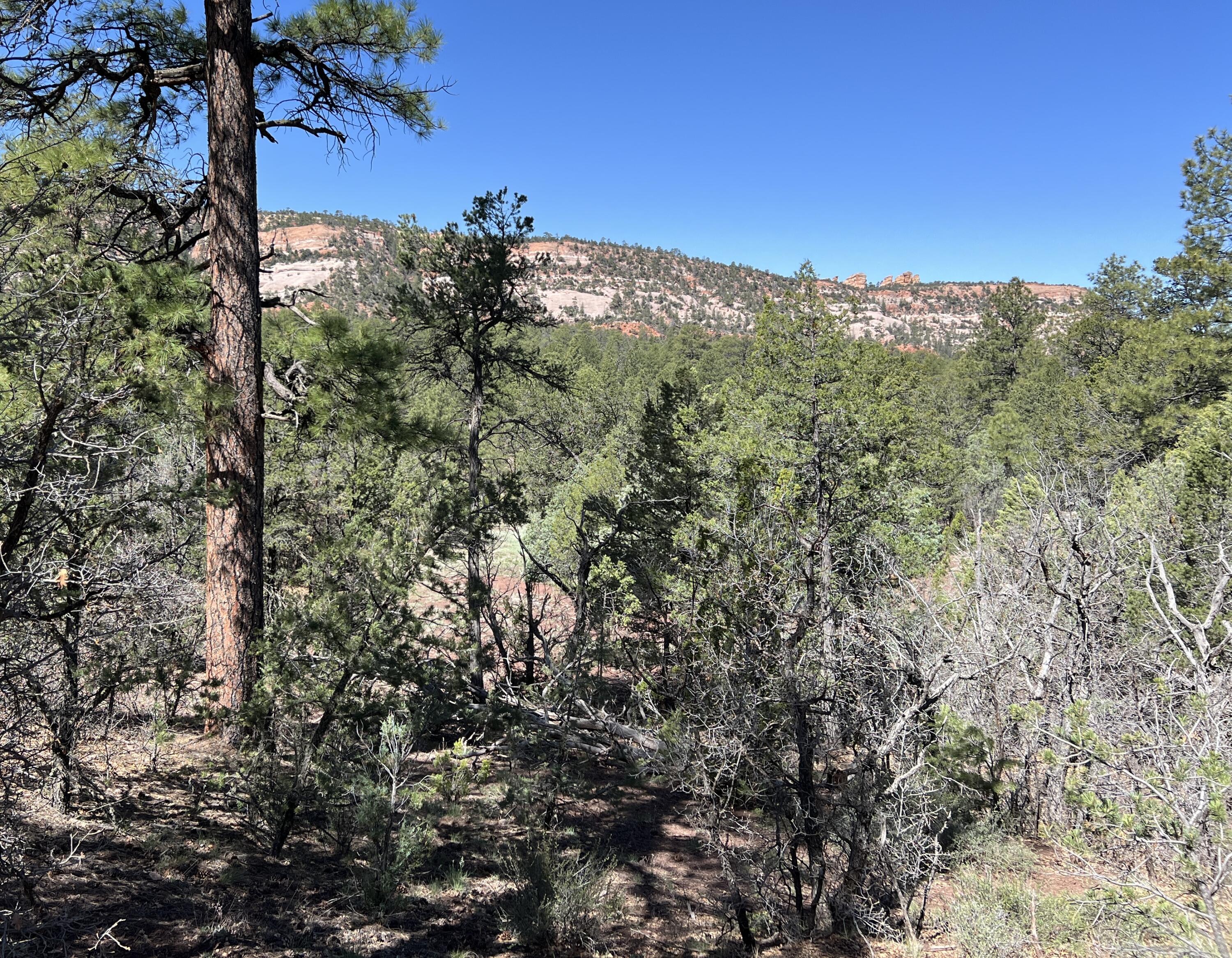 3 Bluebird Road, Ramah, New Mexico image 31