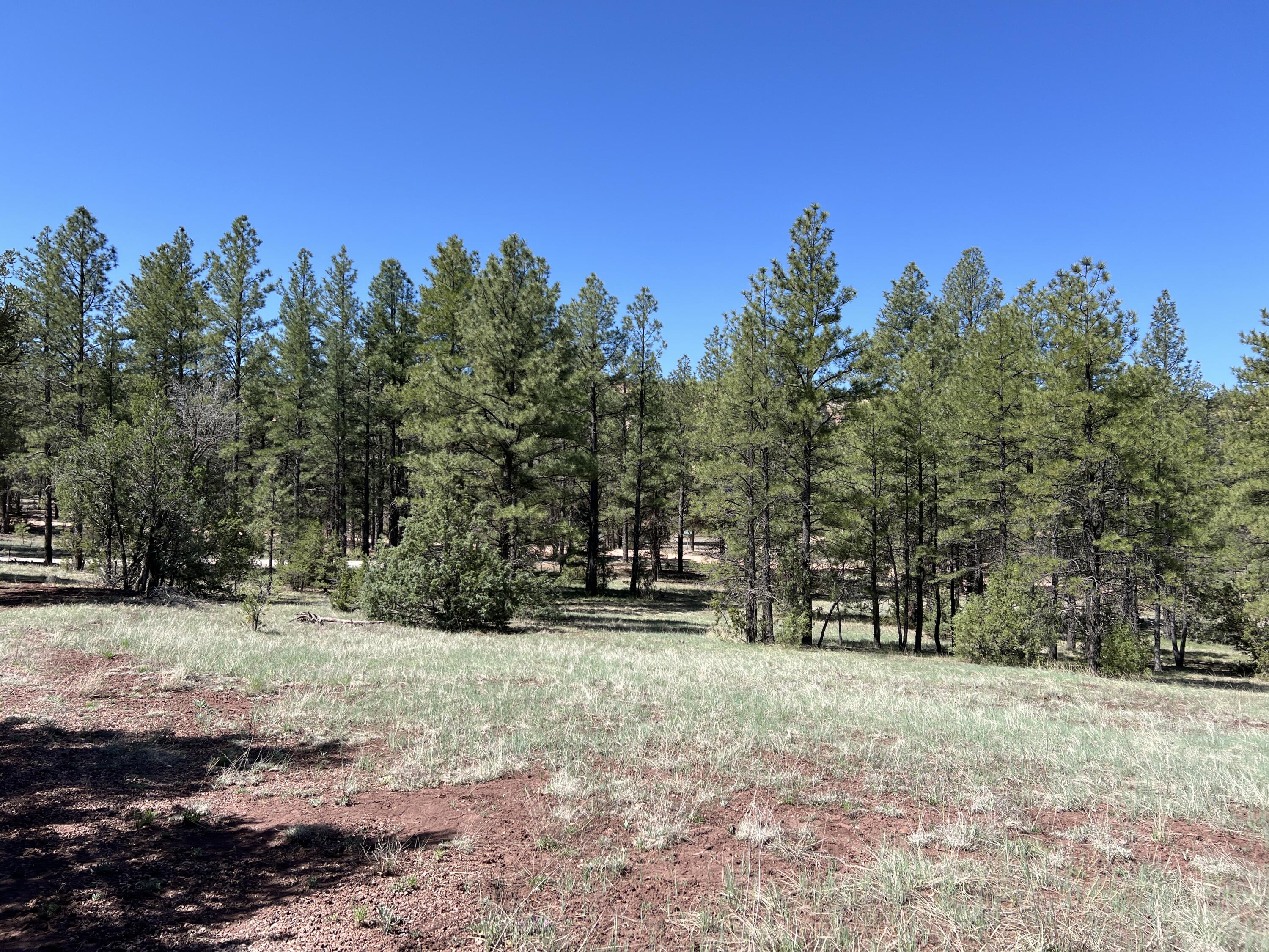 3 Bluebird Road, Ramah, New Mexico image 12