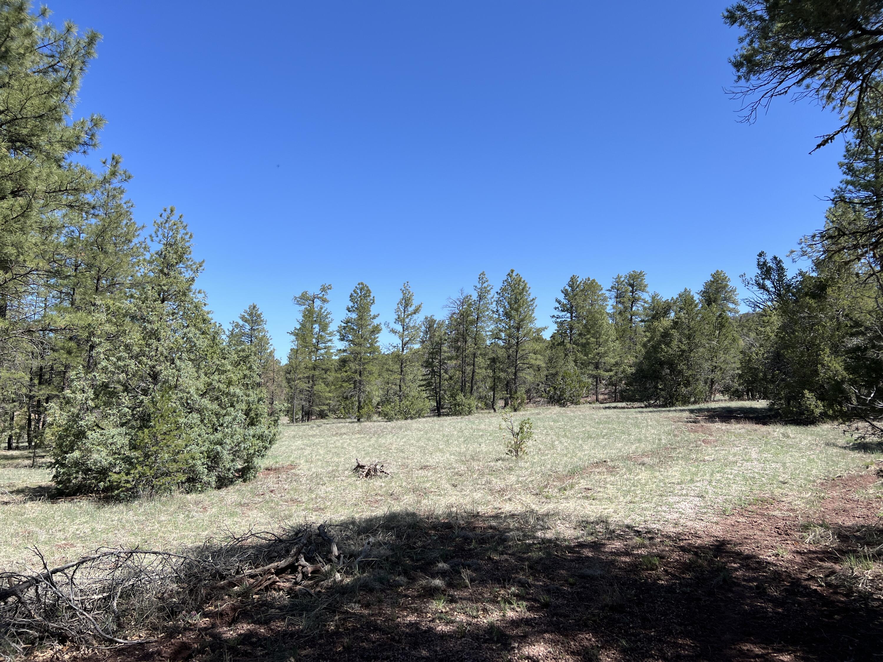 3 Bluebird Road, Ramah, New Mexico image 15