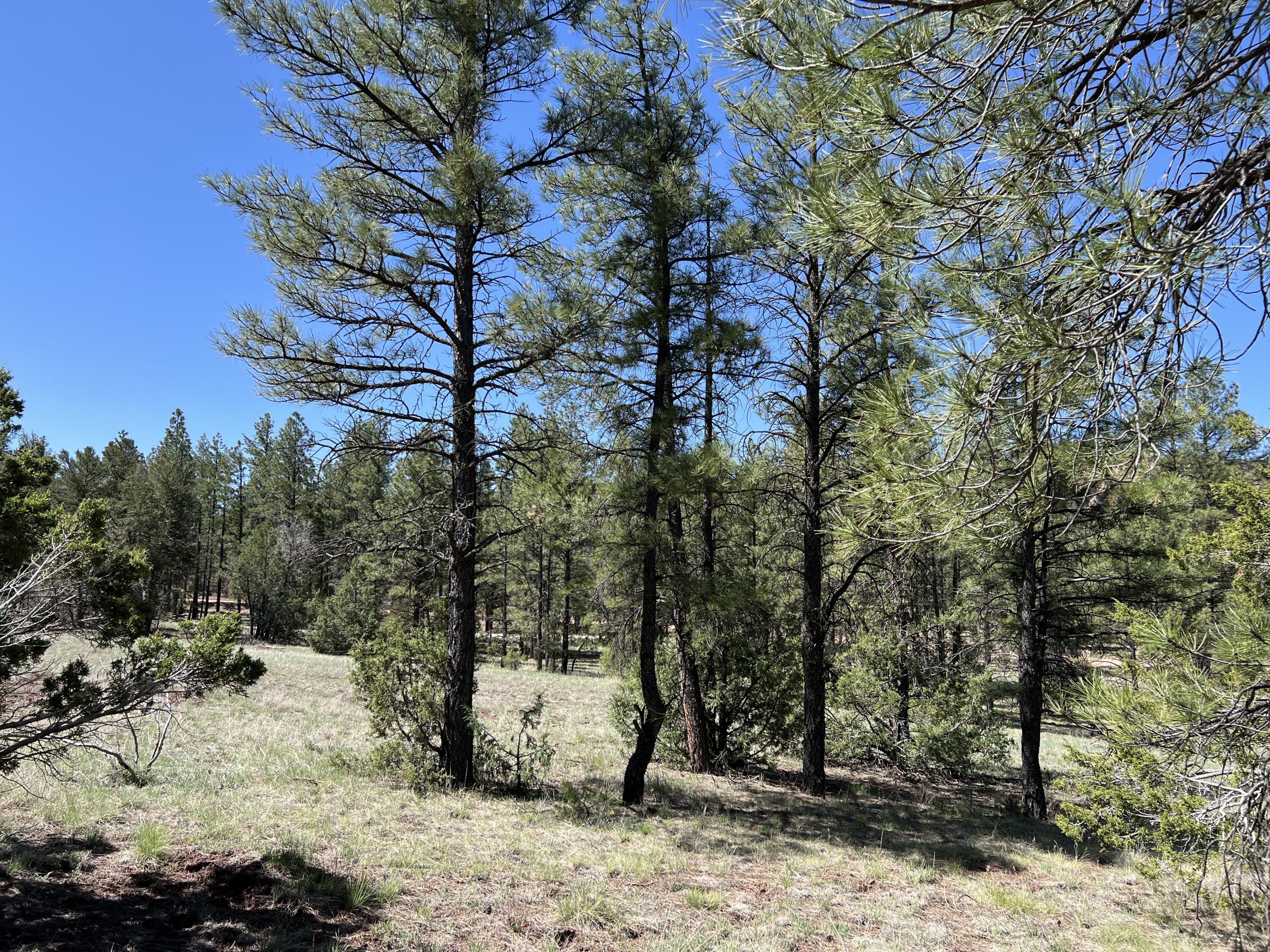 3 Bluebird Road, Ramah, New Mexico image 34