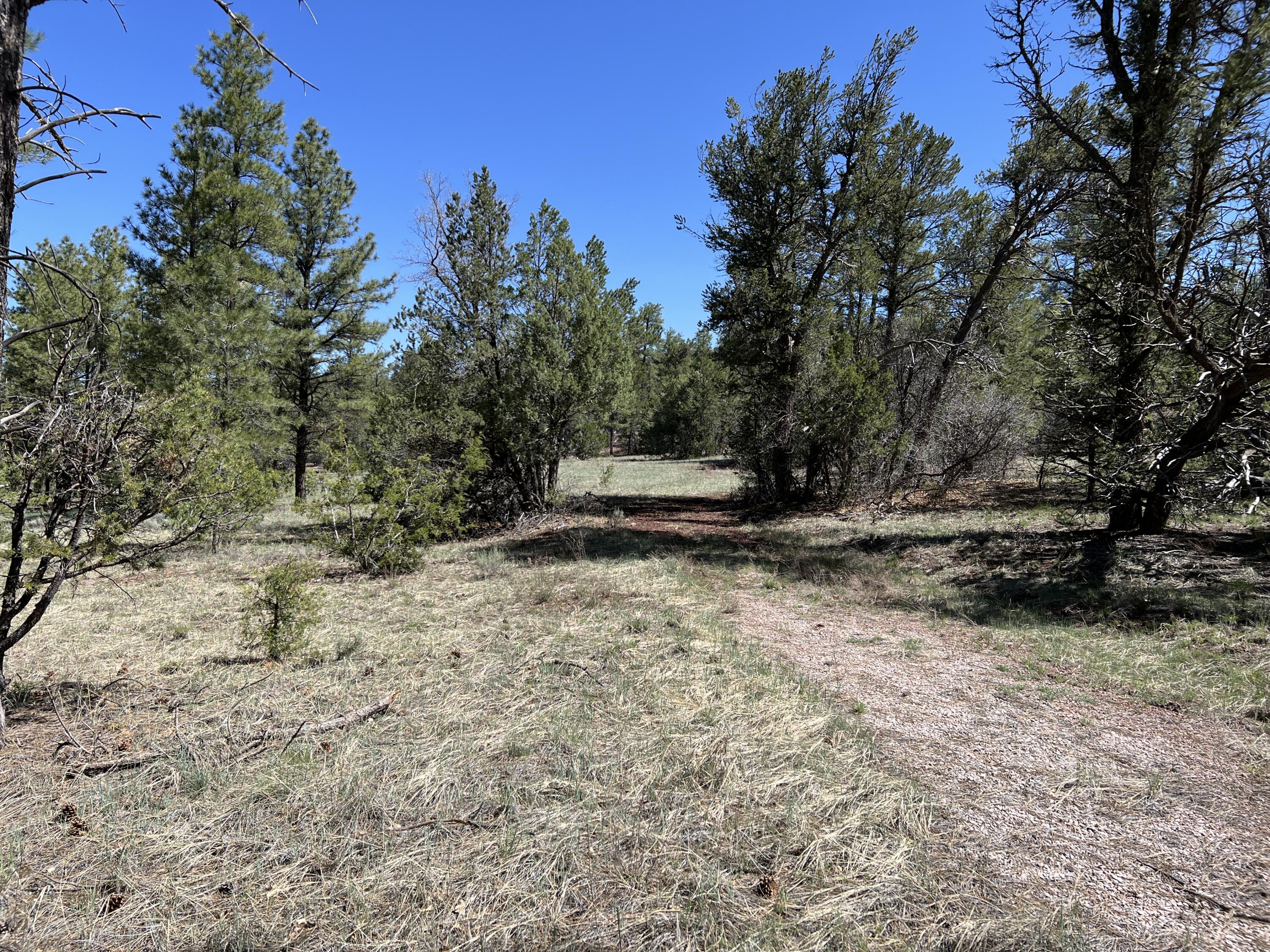 3 Bluebird Road, Ramah, New Mexico image 10