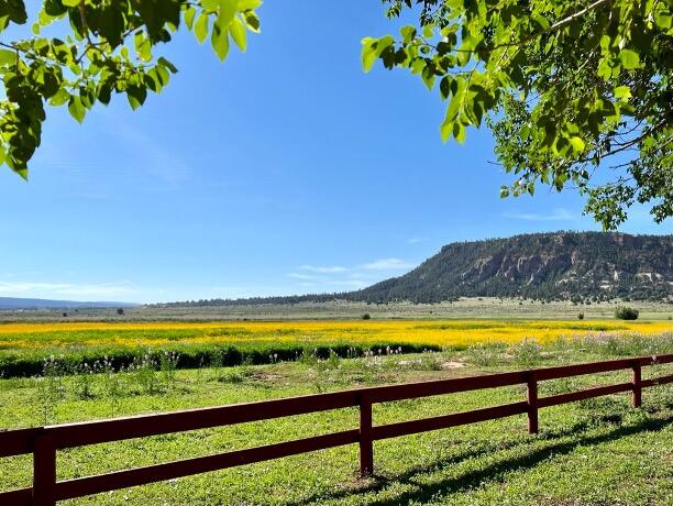 3 Bluebird Road, Ramah, New Mexico image 46