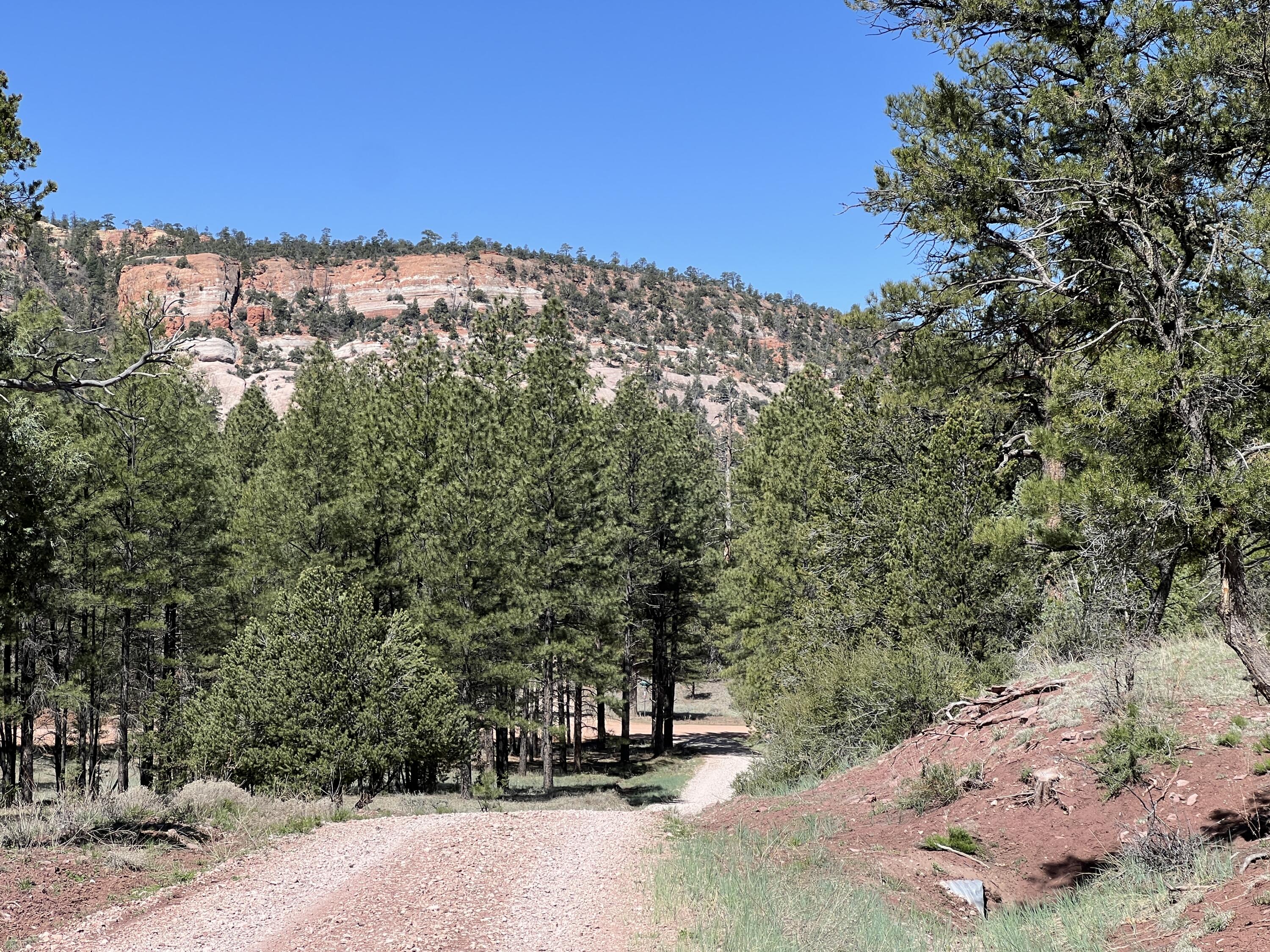 3 Bluebird Road, Ramah, New Mexico image 1