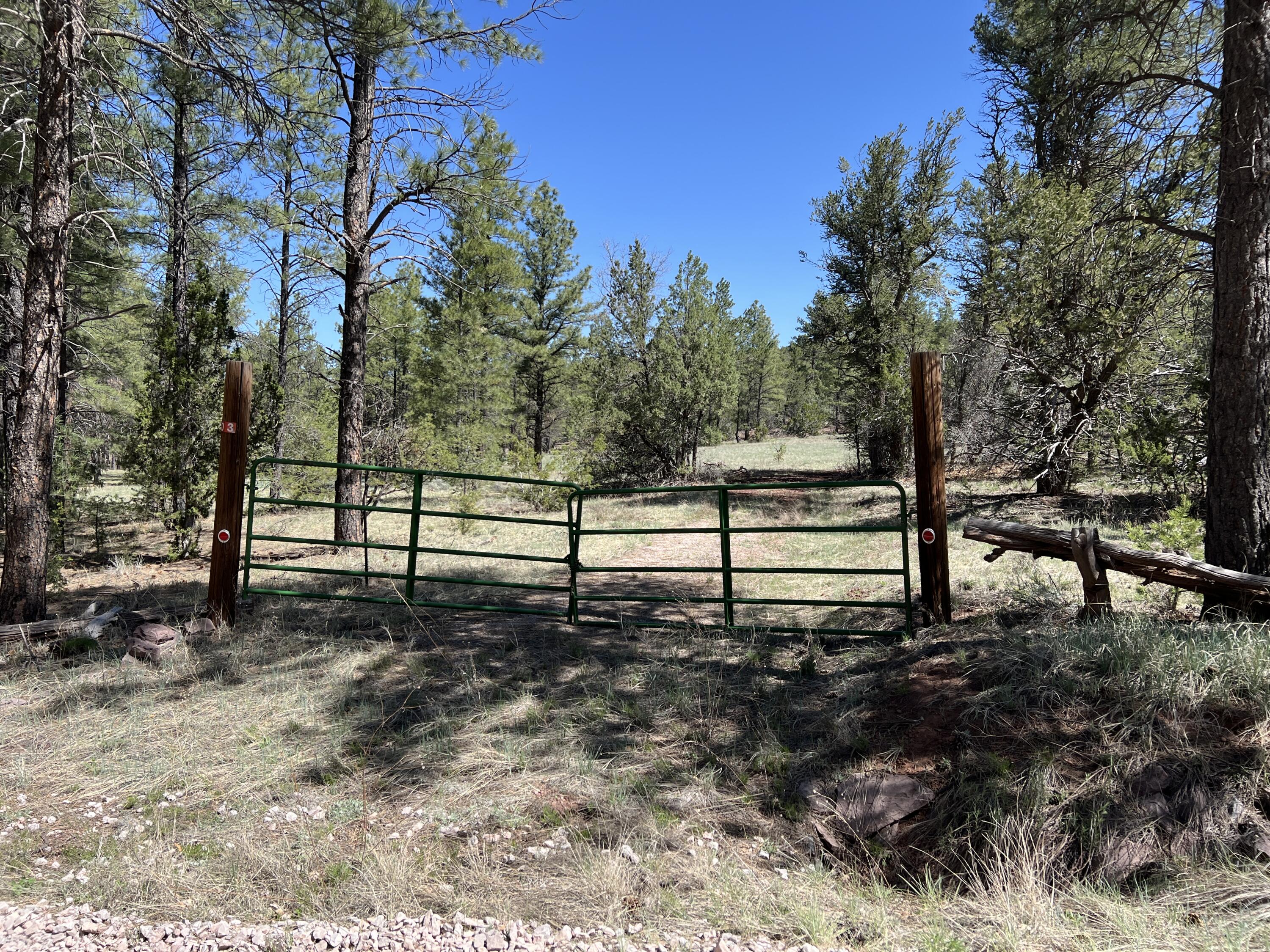 3 Bluebird Road, Ramah, New Mexico image 8