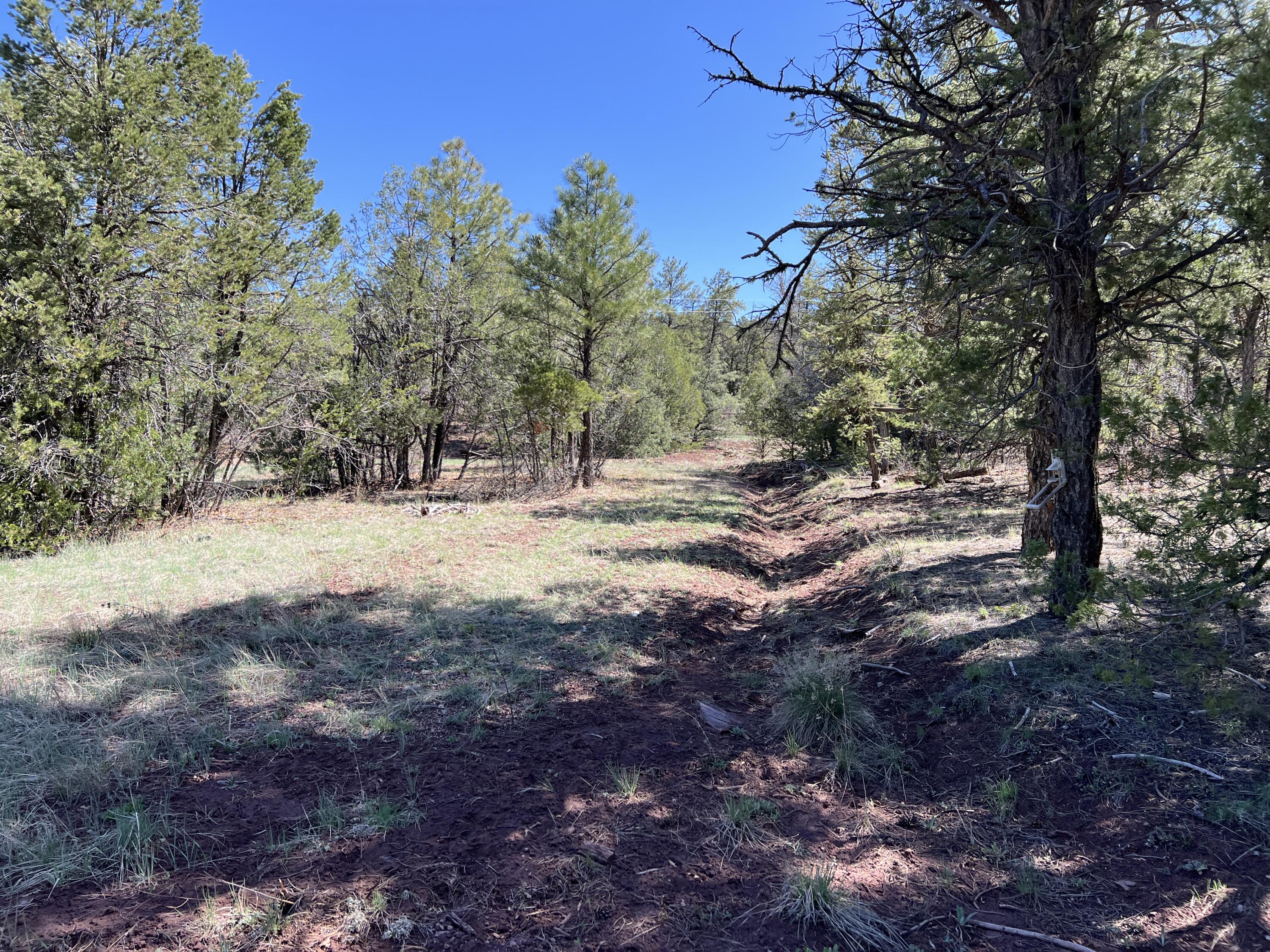 3 Bluebird Road, Ramah, New Mexico image 13