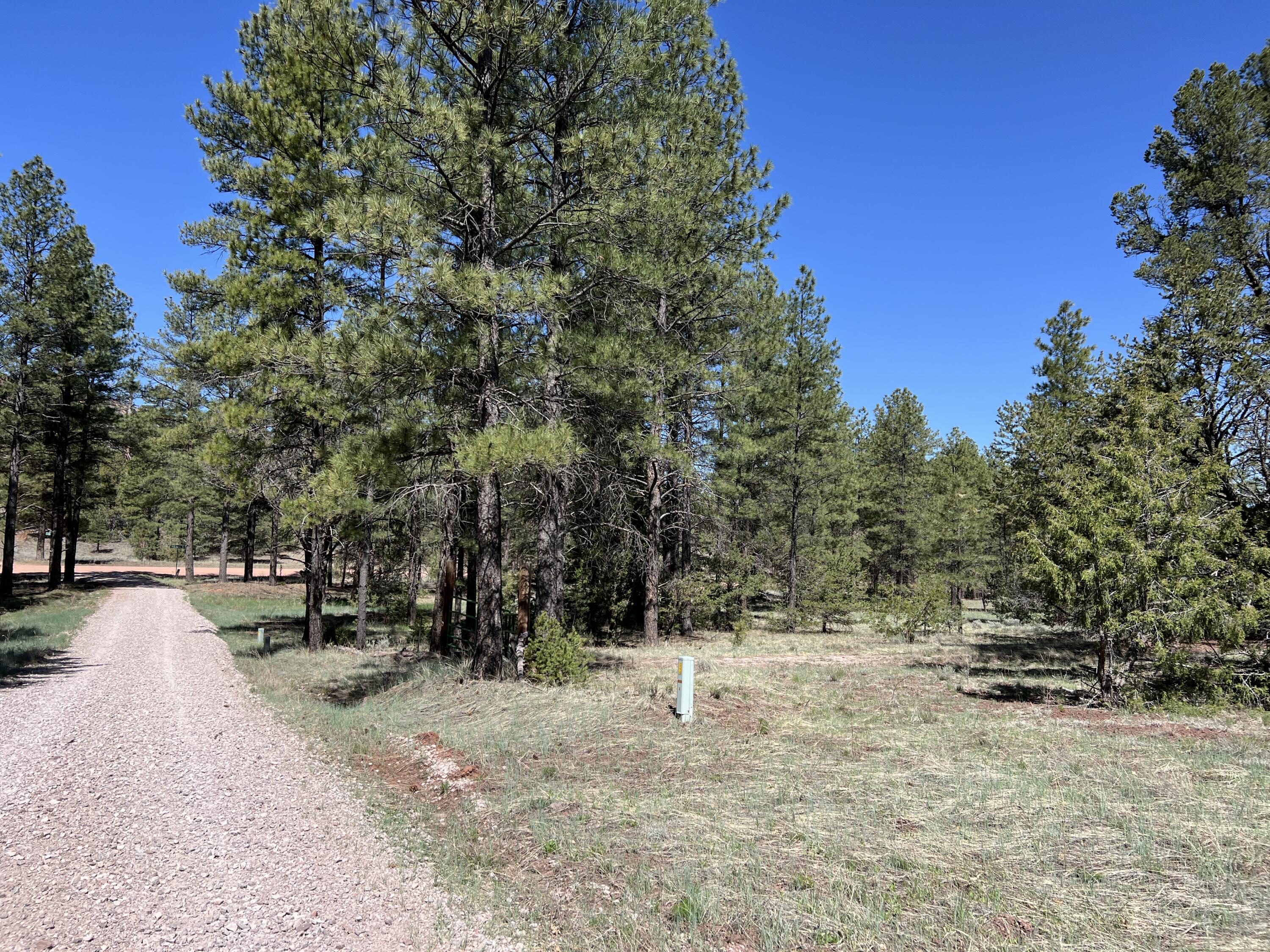 3 Bluebird Road, Ramah, New Mexico image 4