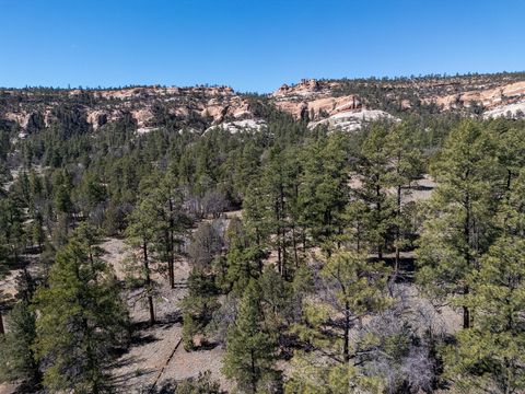 Vacant Land For Sale - 4-5 W Lobo Drive<br/> Mckinley County, Ramah, NM 87321