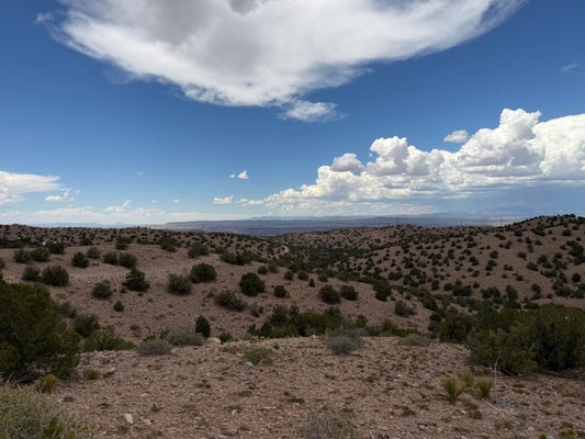 CABALLO PALIDO, PLACITAS, NM 87043 - Image 13b6990a2bcf2f74b8d04f65a13da9bd/2468468323