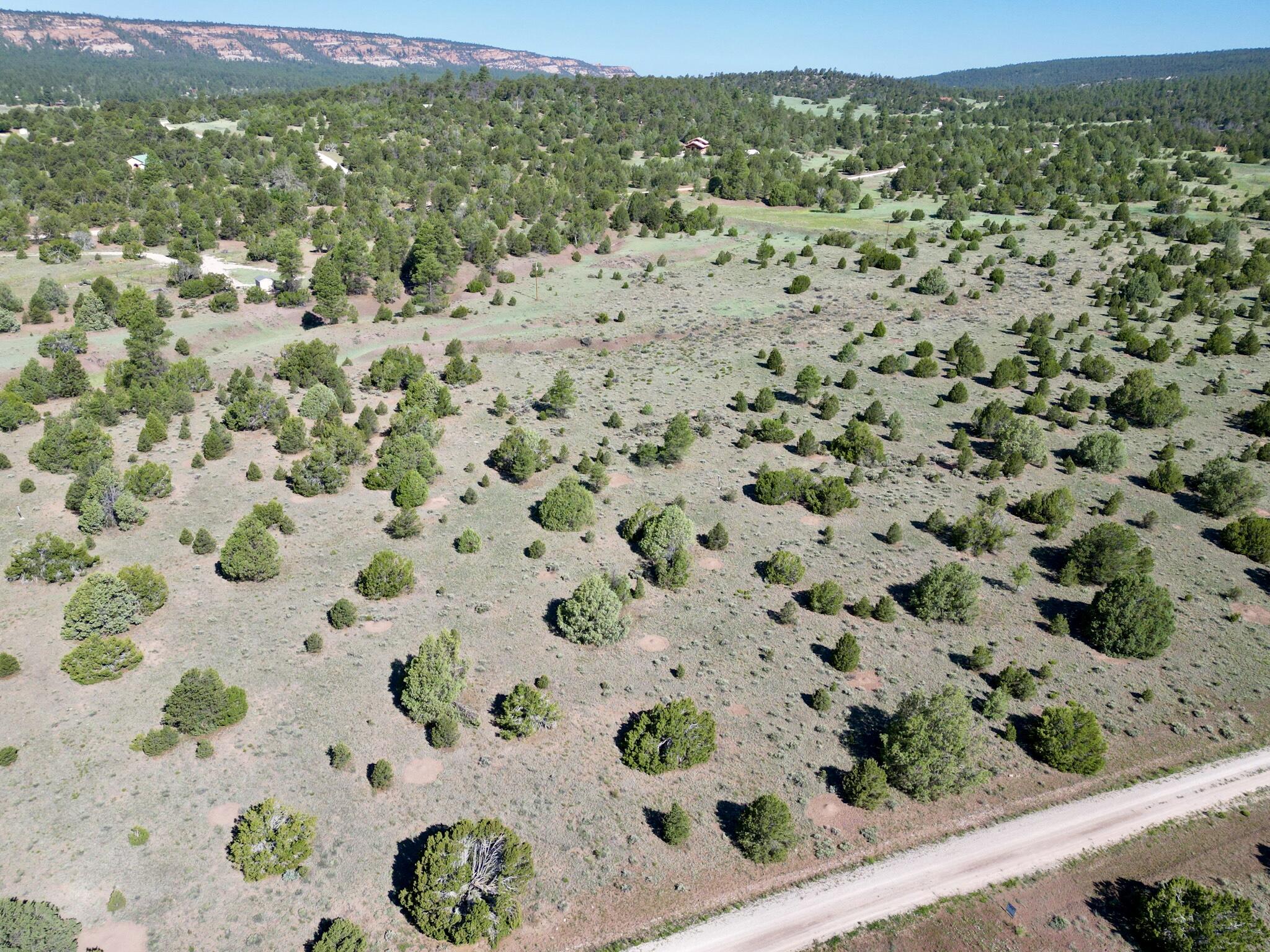 Lot 15 Buttonwood Drive, Ramah, New Mexico image 8