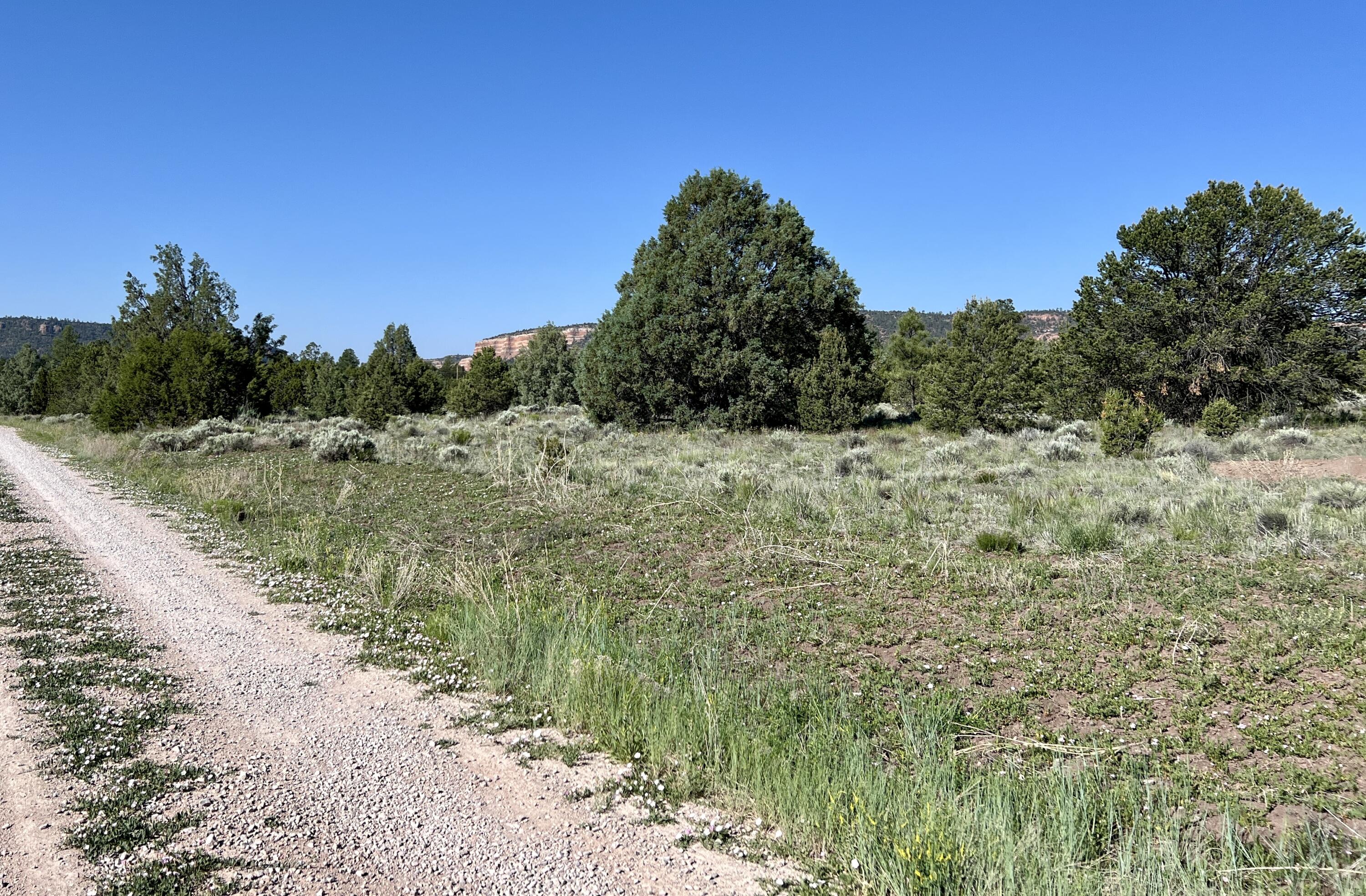 Lot 15 Buttonwood Drive, Ramah, New Mexico image 13