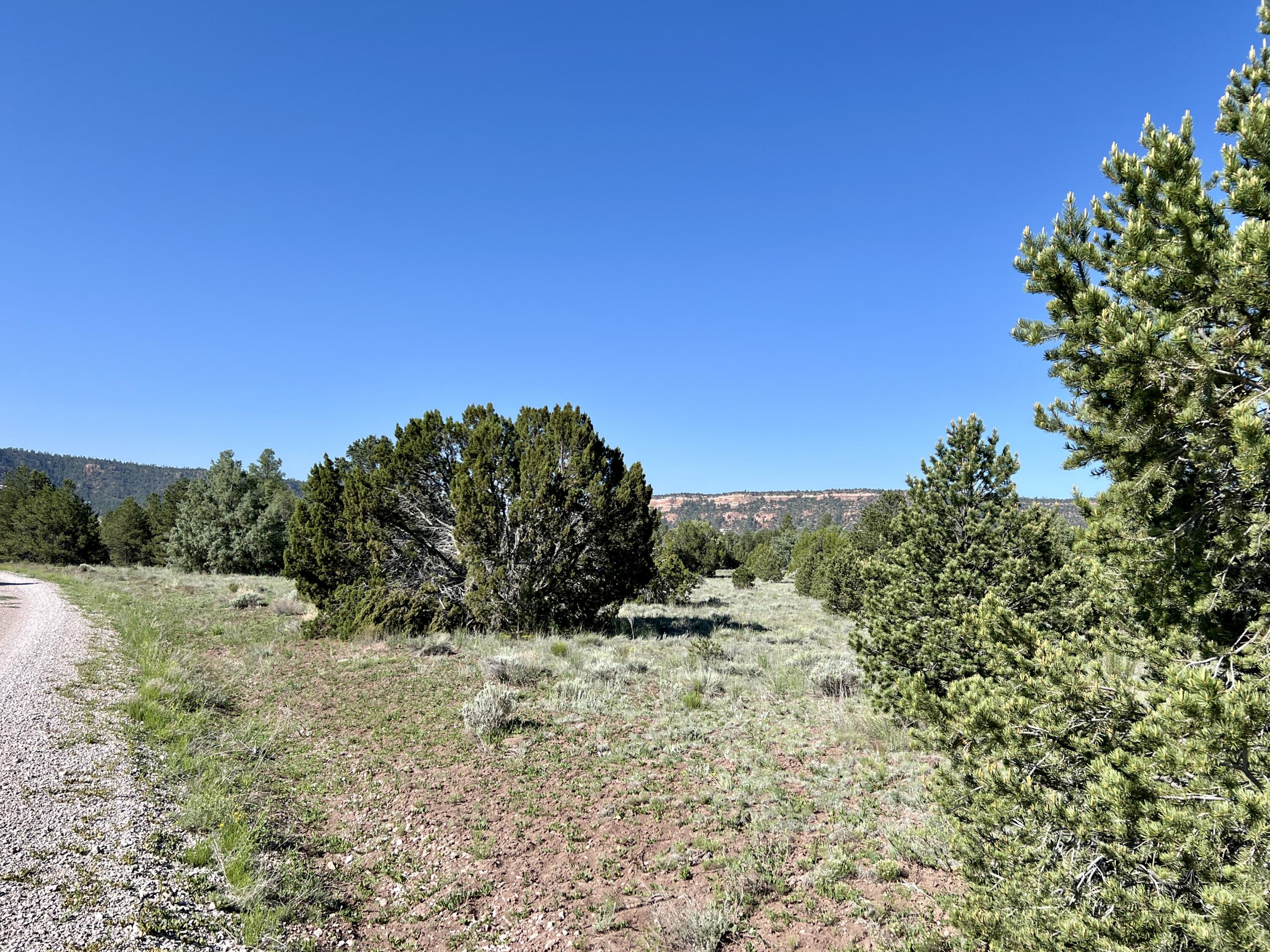 Lot 15 Buttonwood Drive, Ramah, New Mexico image 15