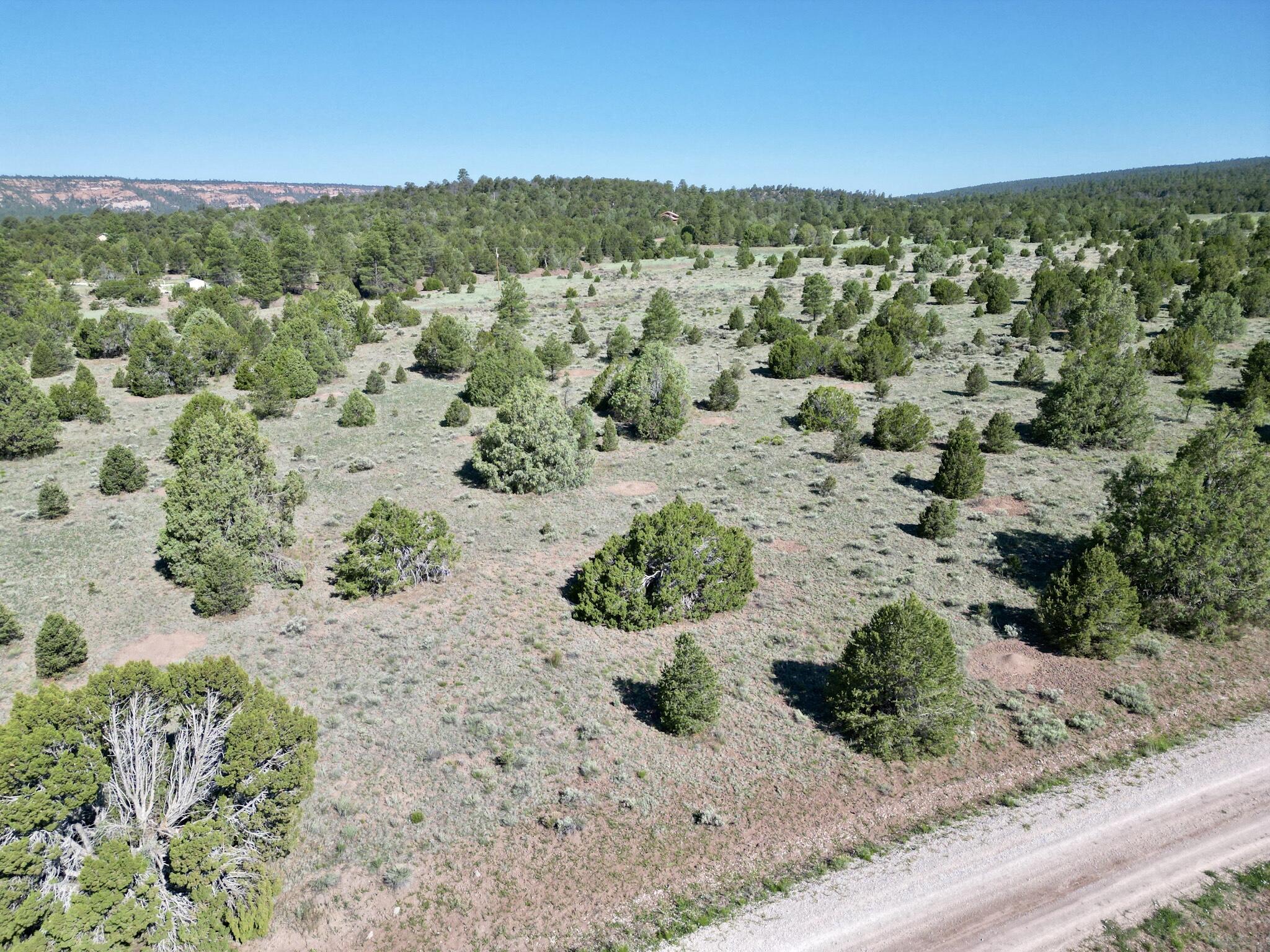 Lot 15 Buttonwood Drive, Ramah, New Mexico image 3