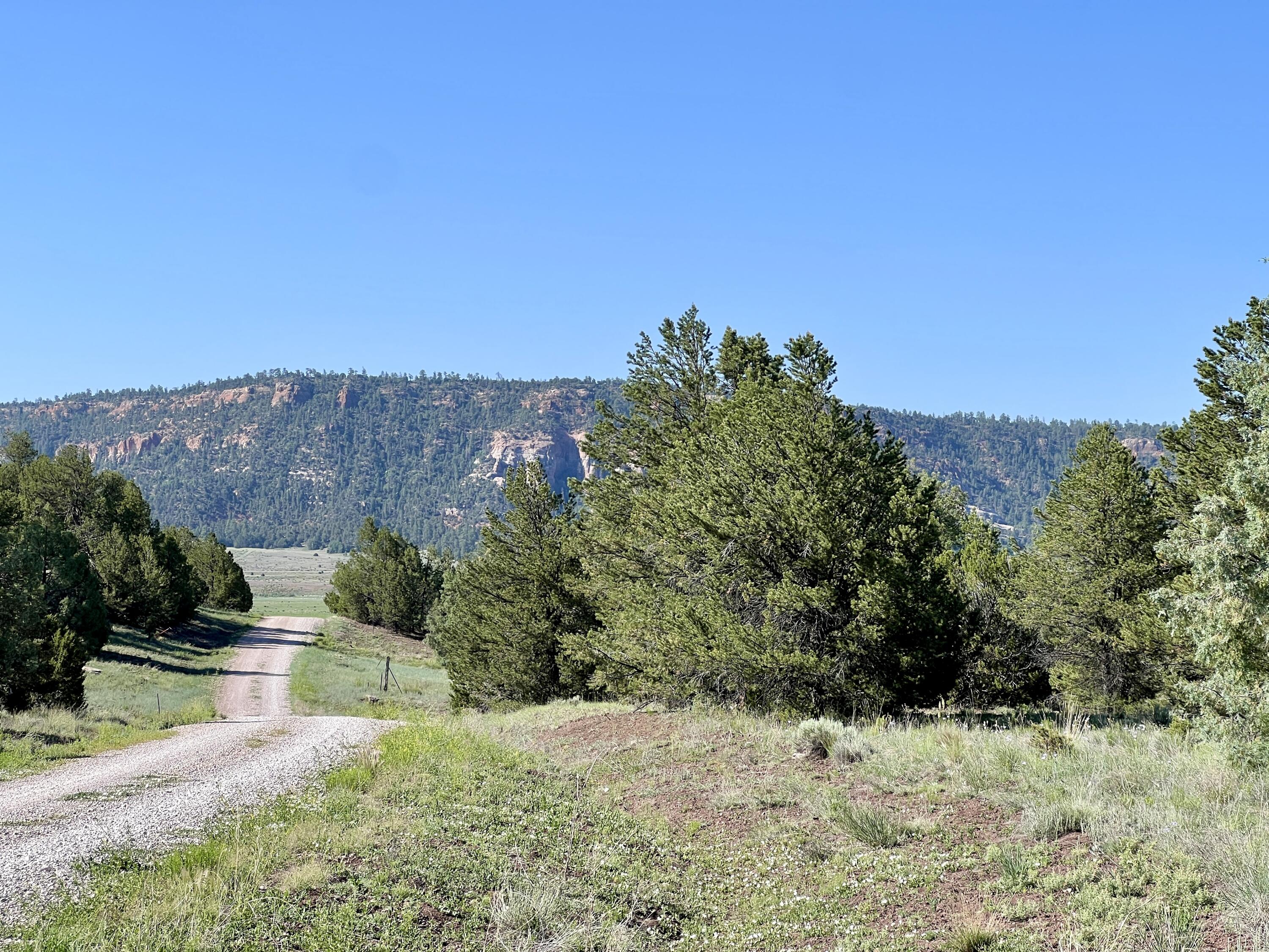 Lot 15 Buttonwood Drive, Ramah, New Mexico image 4