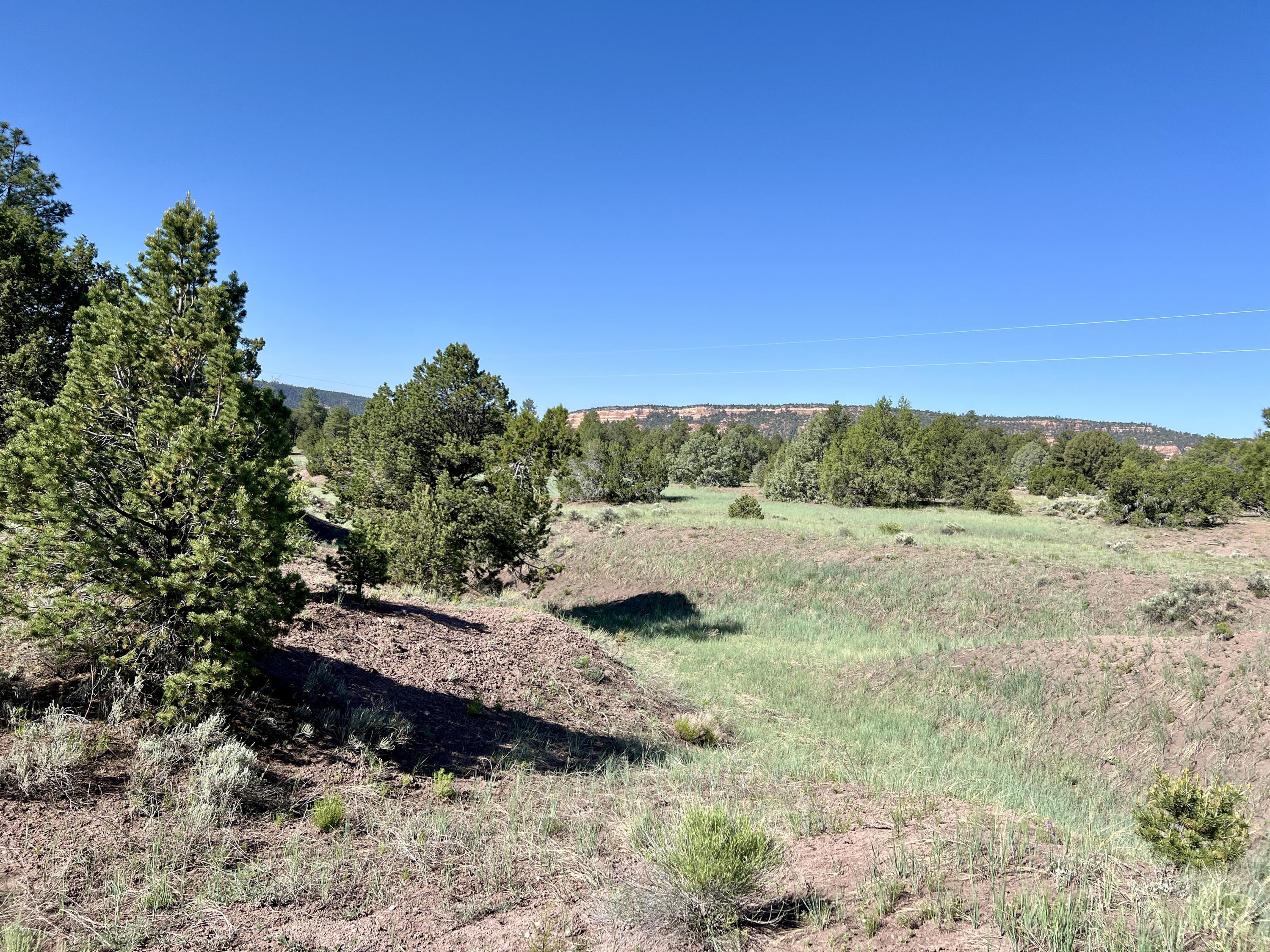 Lot 15 Buttonwood Drive, Ramah, New Mexico image 26