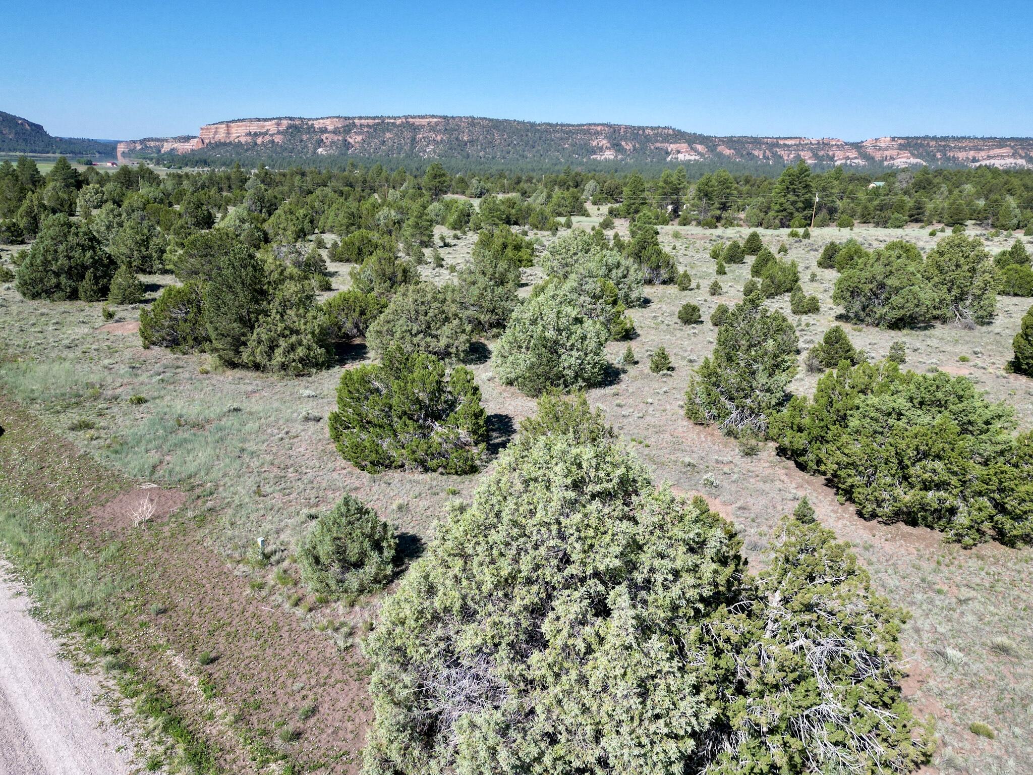 Lot 15 Buttonwood Drive, Ramah, New Mexico image 1