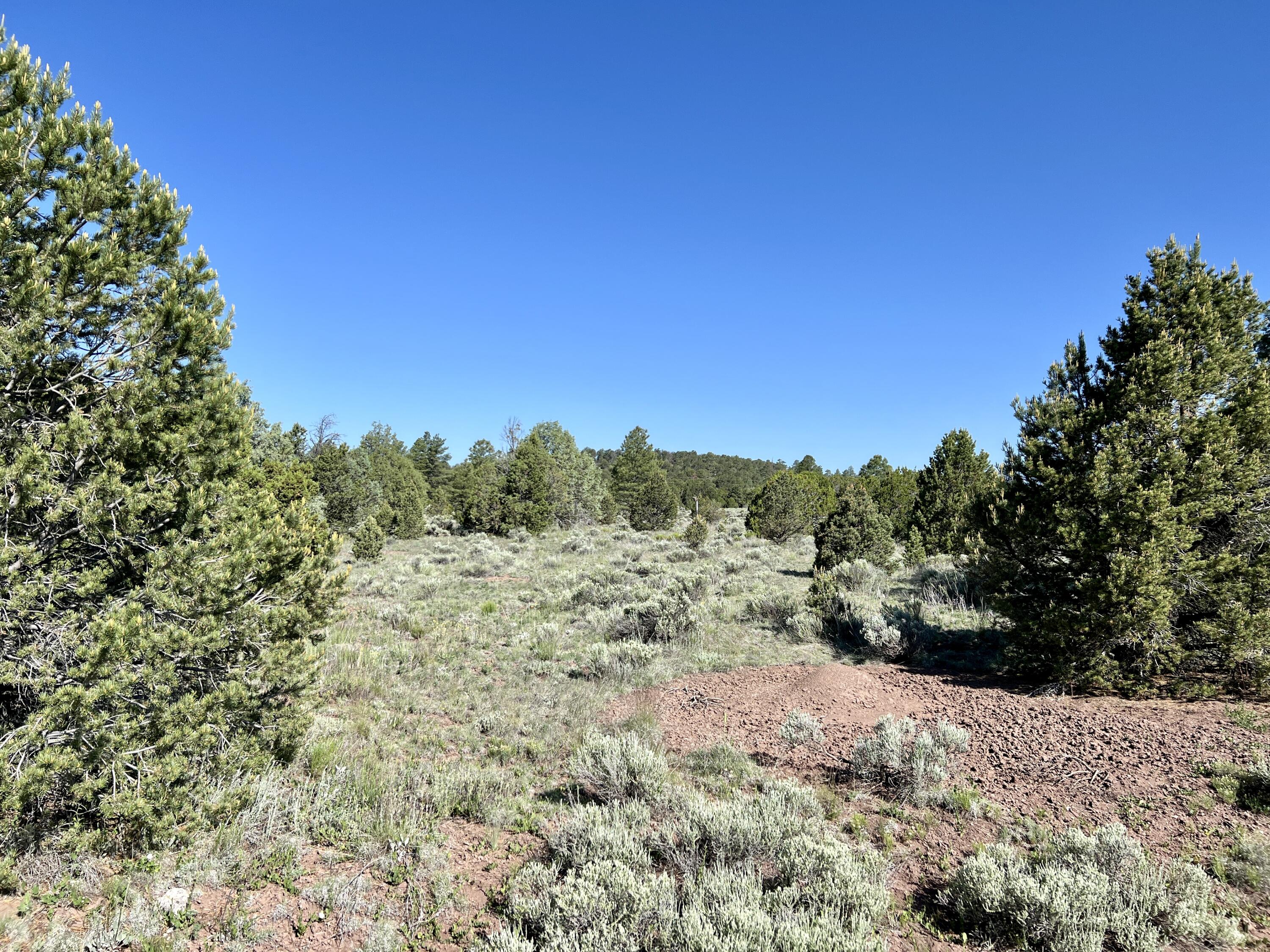 Lot 15 Buttonwood Drive, Ramah, New Mexico image 14