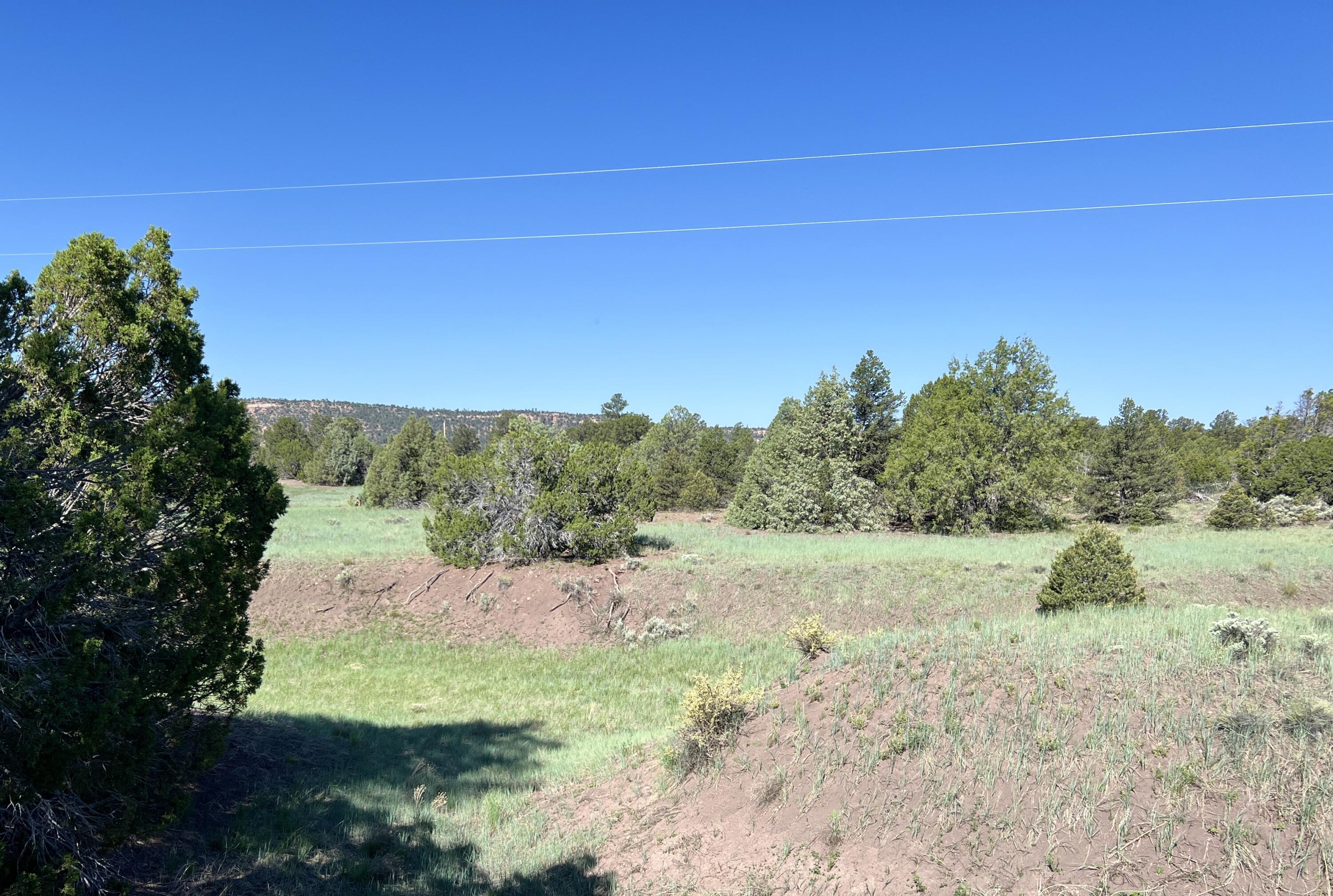 Lot 15 Buttonwood Drive, Ramah, New Mexico image 22