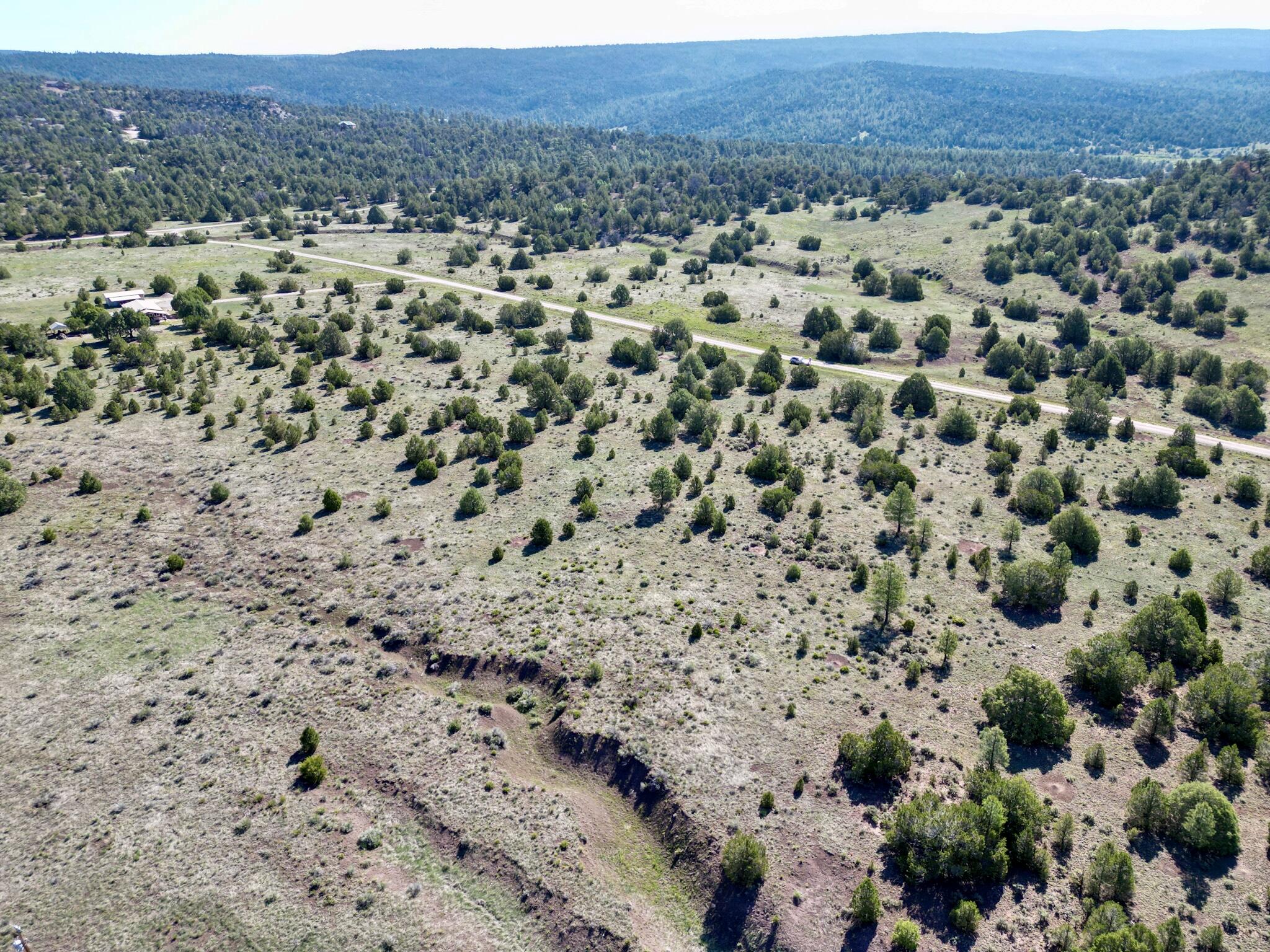 Lot 15 Buttonwood Drive, Ramah, New Mexico image 9